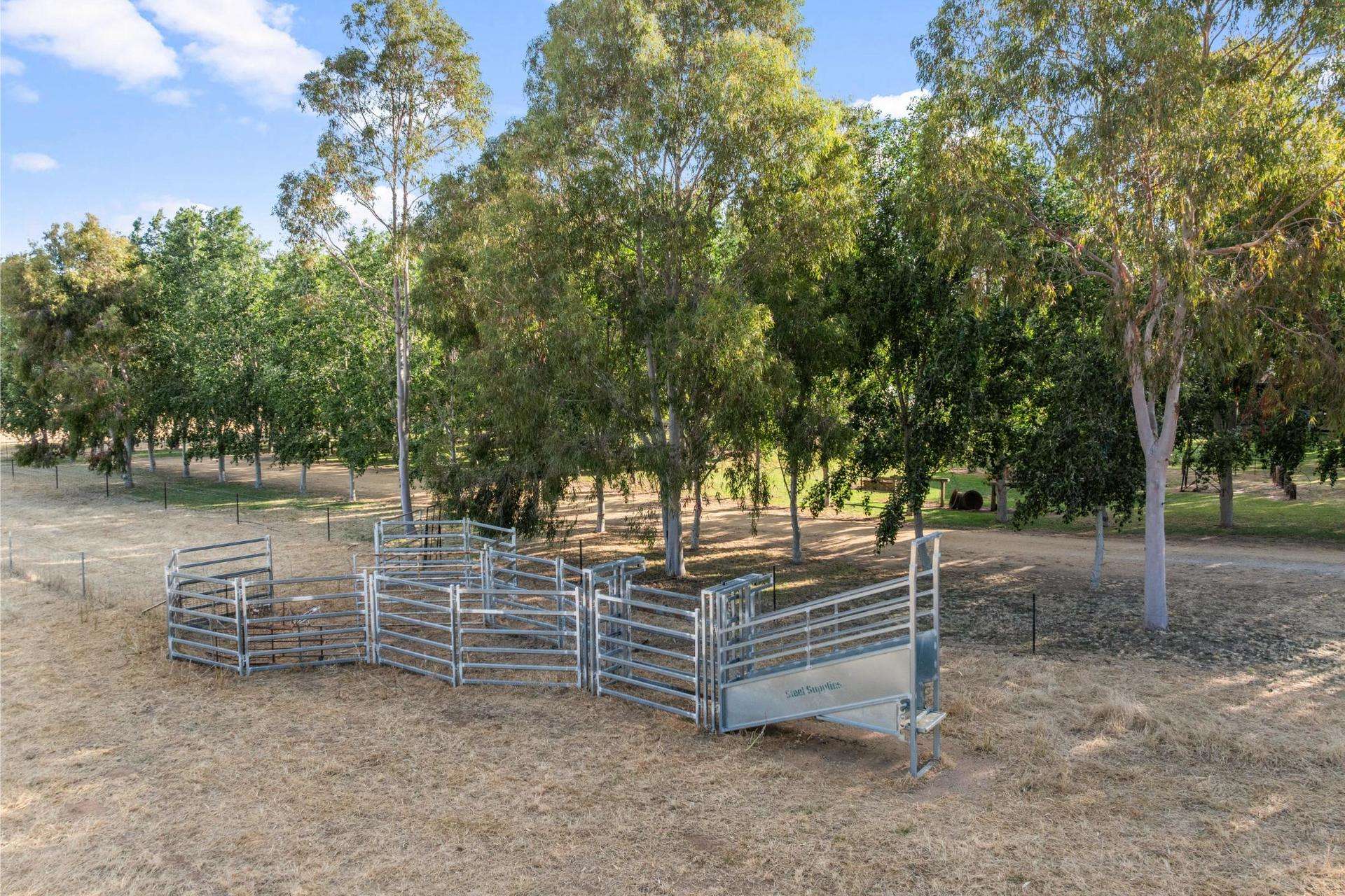 7 Mclays Road, Narrandera Auction by Farmbuy.com - image 18