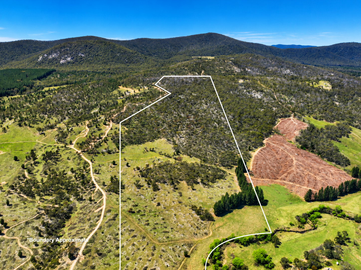 Lot 208 Foggy Forest Drive, Anembo For Sale by Farmbuy.com - image 2