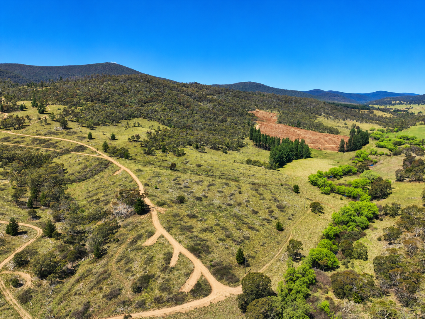 Lot 208 Foggy Forest Drive, Anembo For Sale by Farmbuy.com - image 15