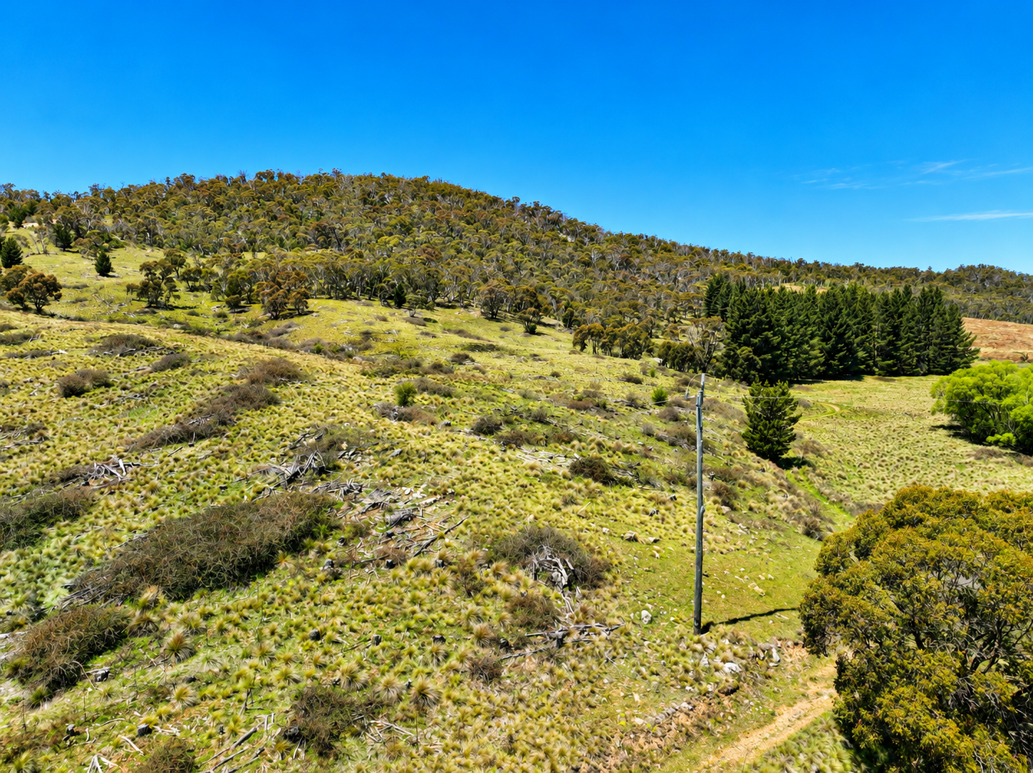 Lot 208 Foggy Forest Drive, Anembo For Sale by Farmbuy.com - image 16