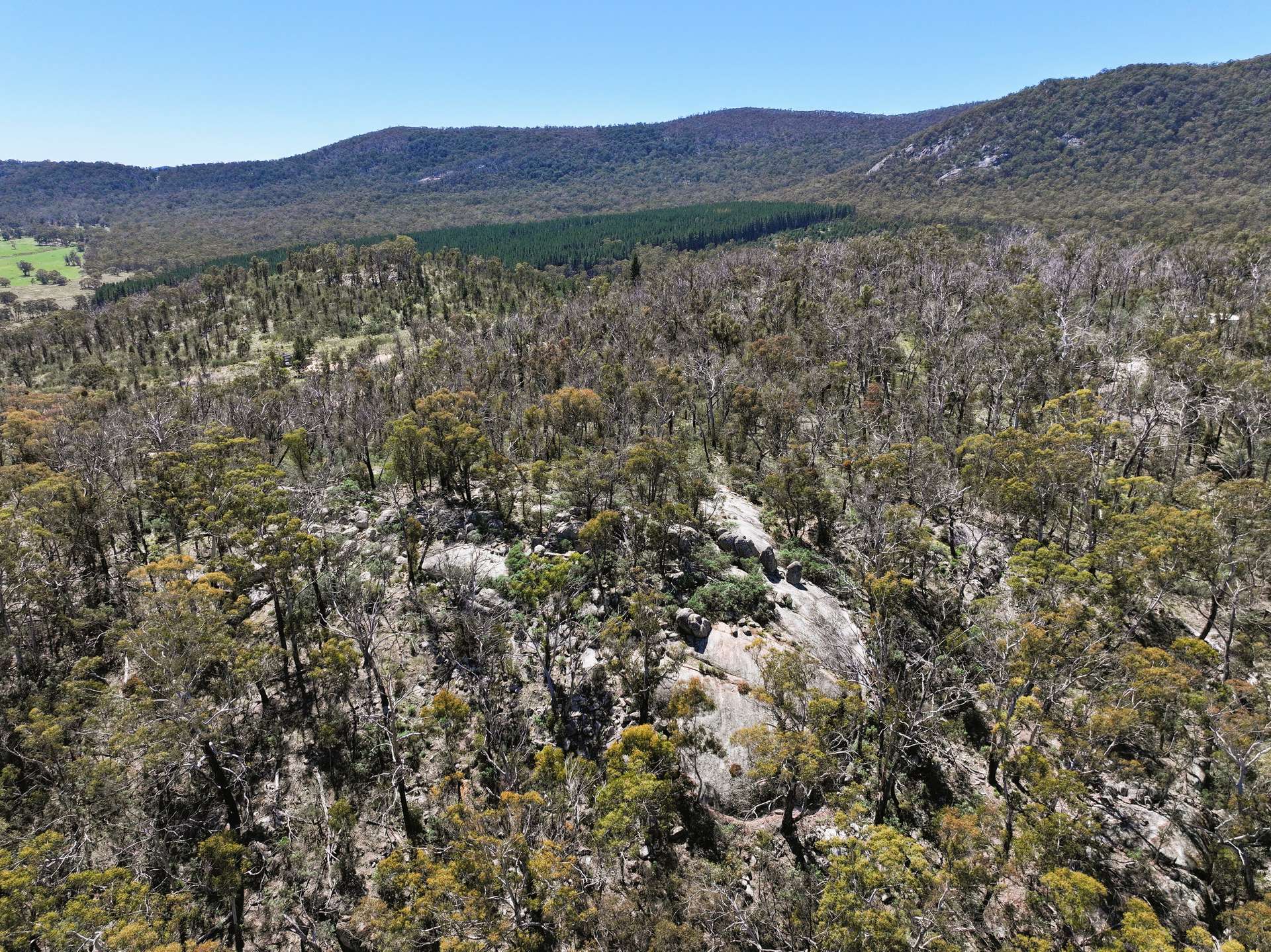 Lot 208 Foggy Forest Drive, Anembo For Sale by Farmbuy.com - image 14