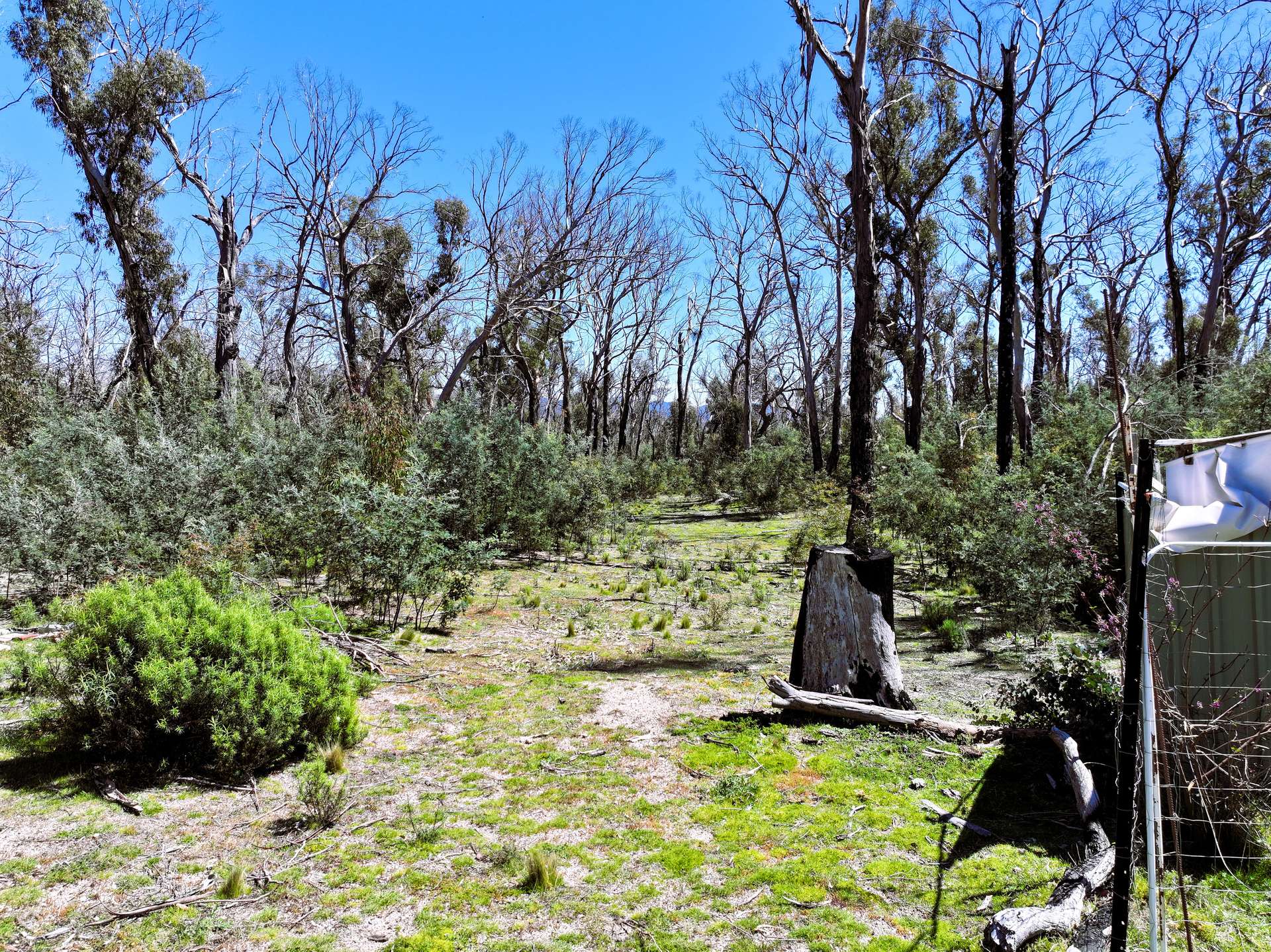 Lot 208 Foggy Forest Drive, Anembo For Sale by Farmbuy.com - image 11