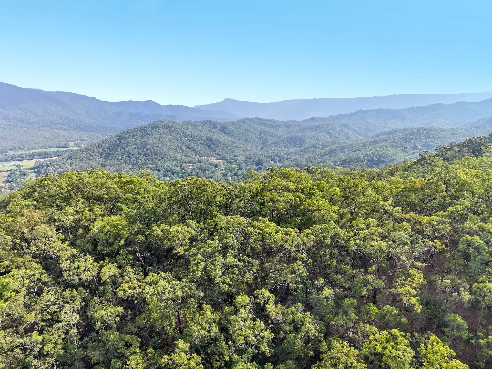 37-39 Jamieson Close, Gordonvale For Sale by Farmbuy.com - image 29