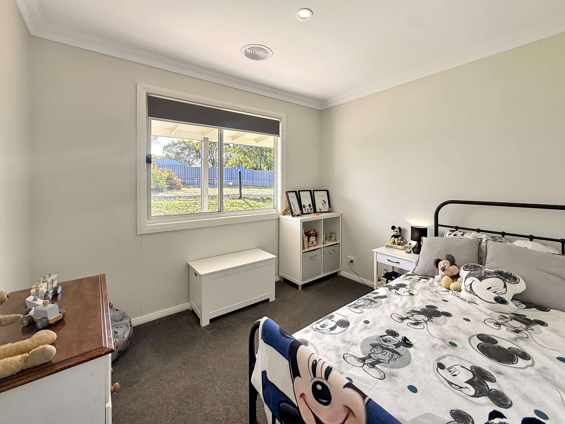 72 West Street, Grenfell For Sale by Farmbuy.com - image 12
