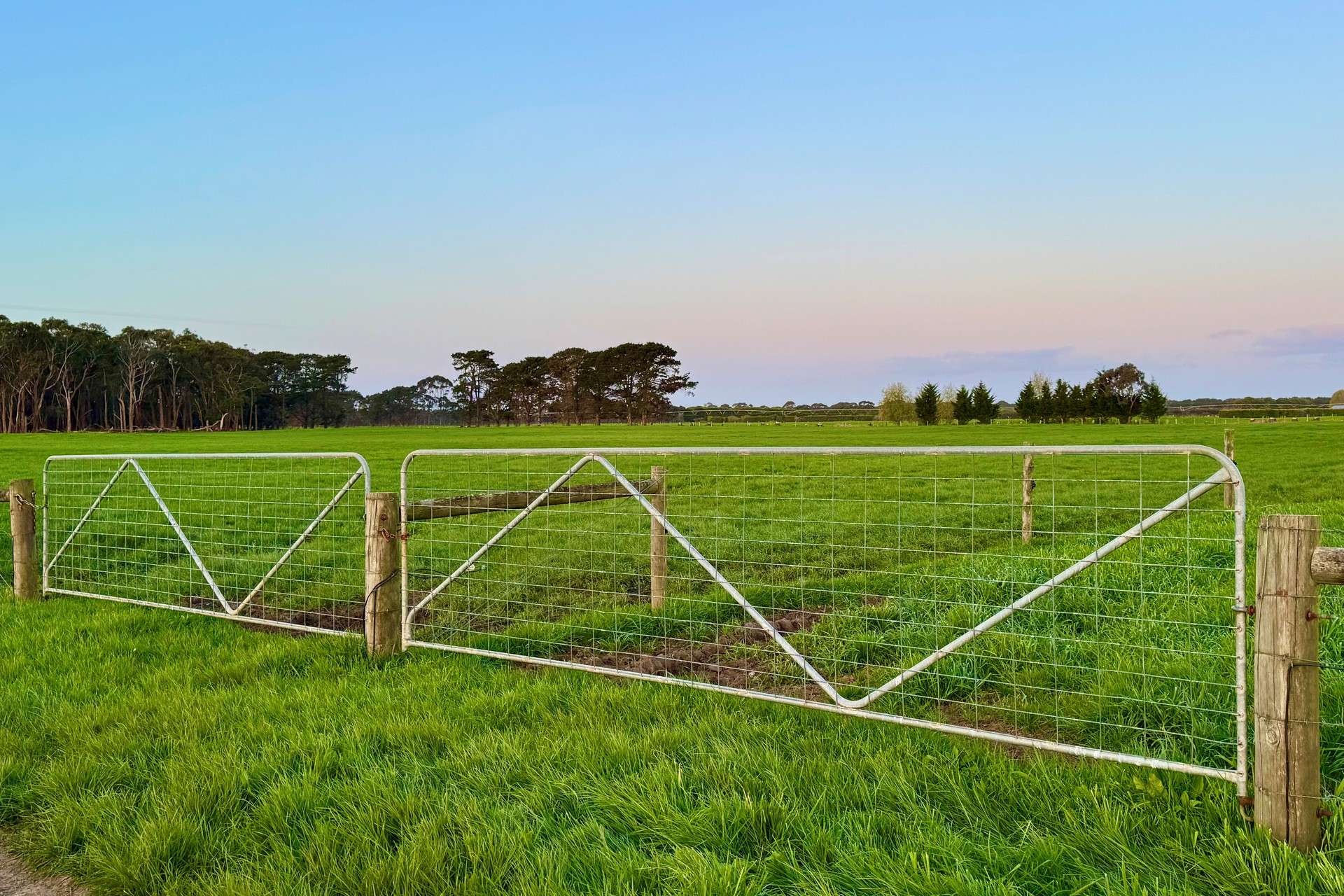 Nullawarre North For Sale by Farmbuy.com - image 5