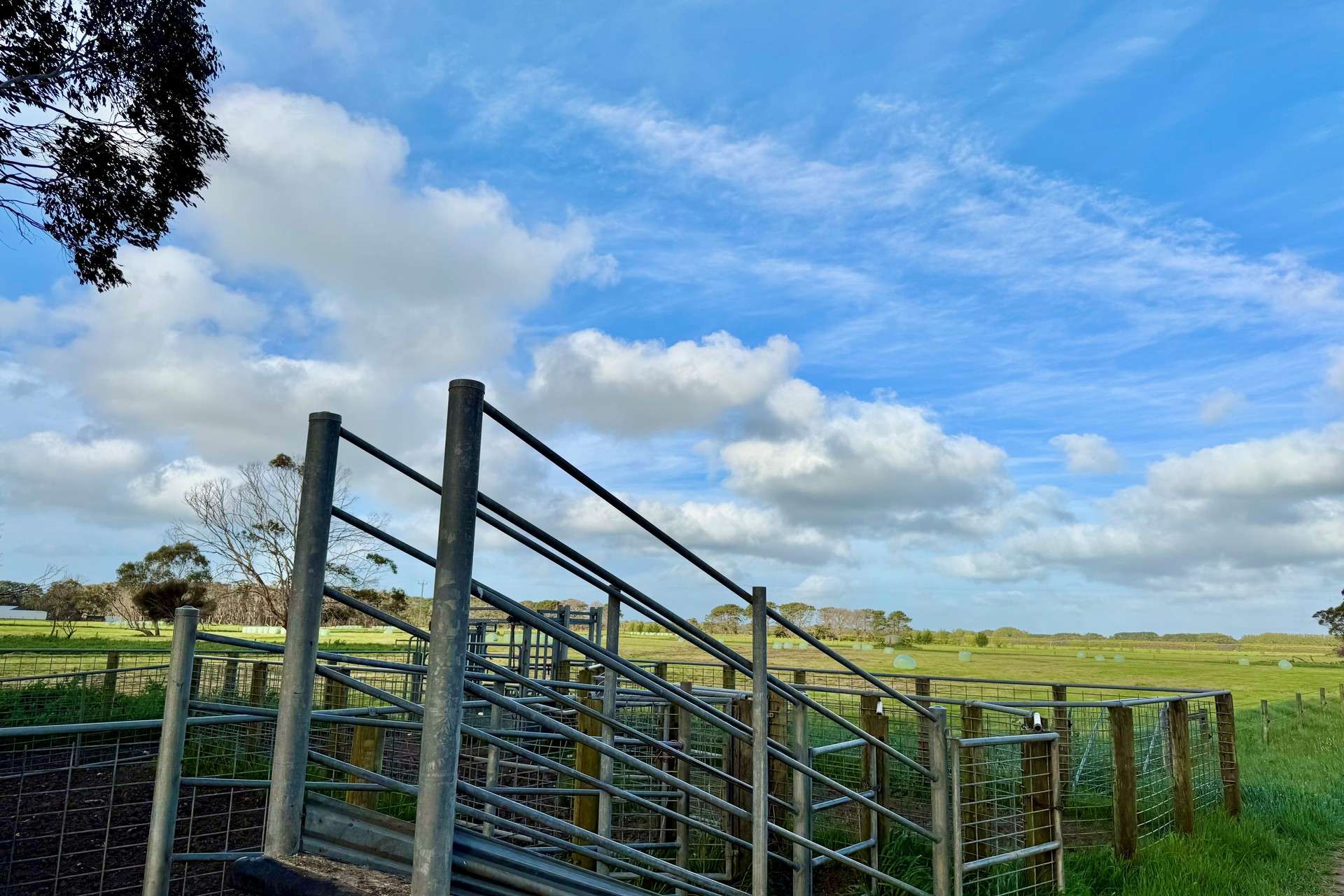 Nullawarre North For Sale by Farmbuy.com - image 4
