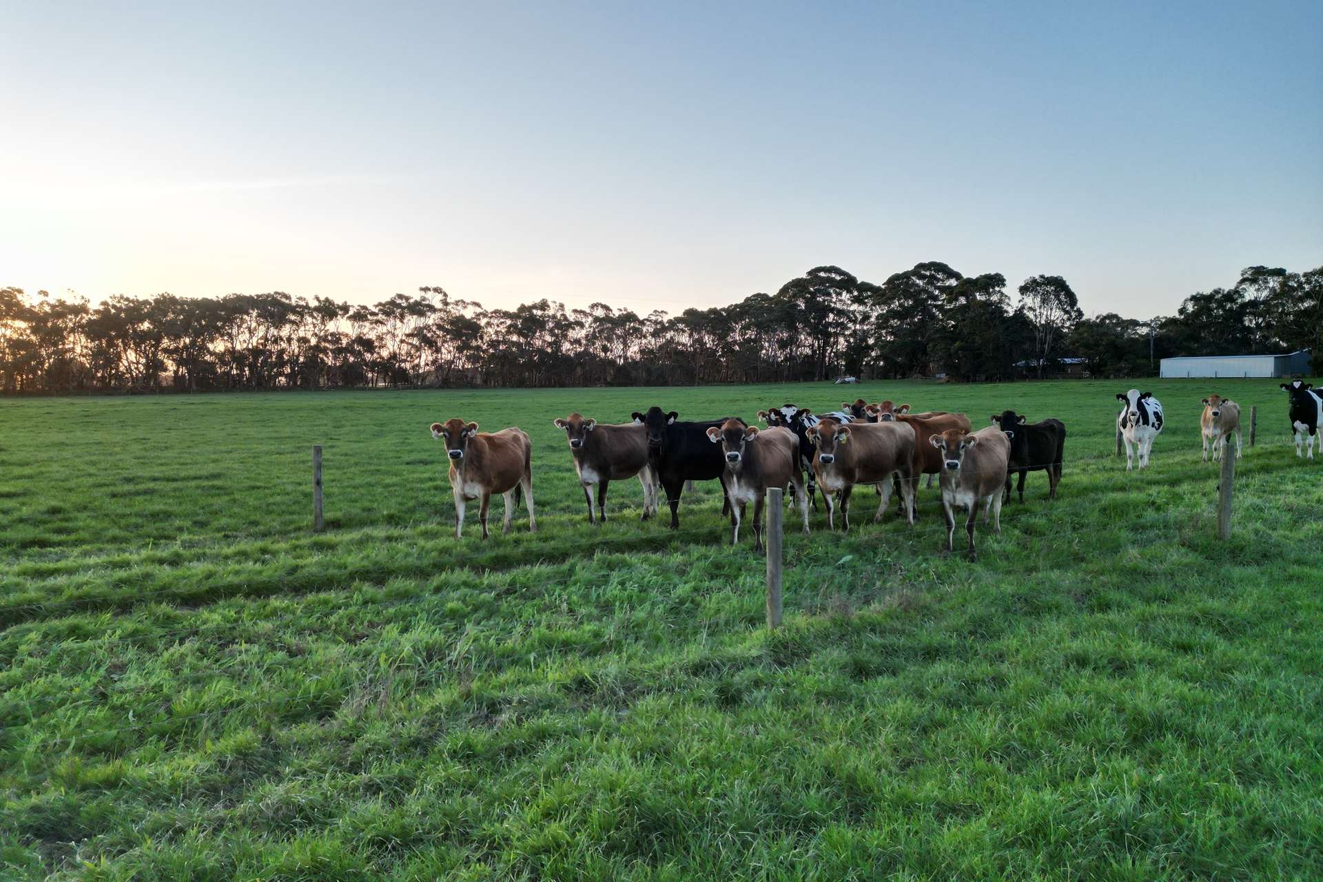 Nullawarre North For Sale by Farmbuy.com - image 6