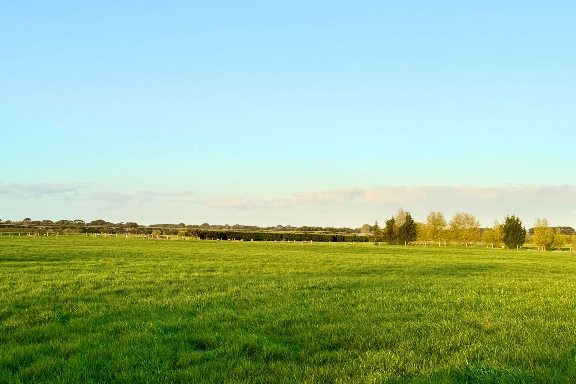 Nullawarre North For Sale by Farmbuy.com - image 11