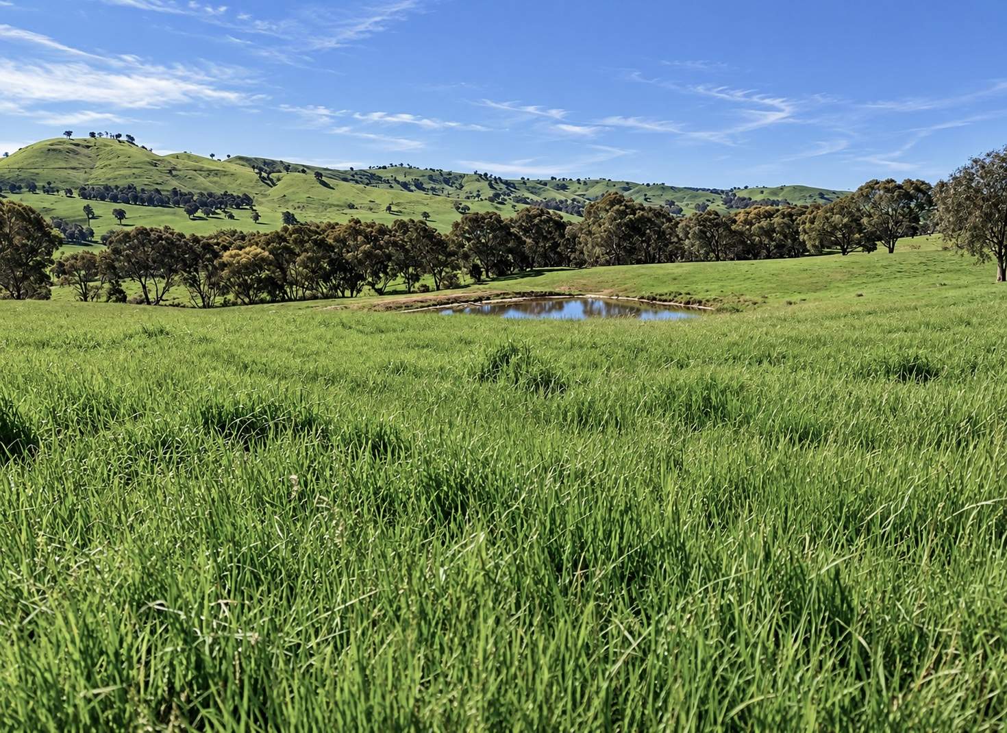 1511 Lake Road, Bethanga For Sale by Farmbuy.com - image 3