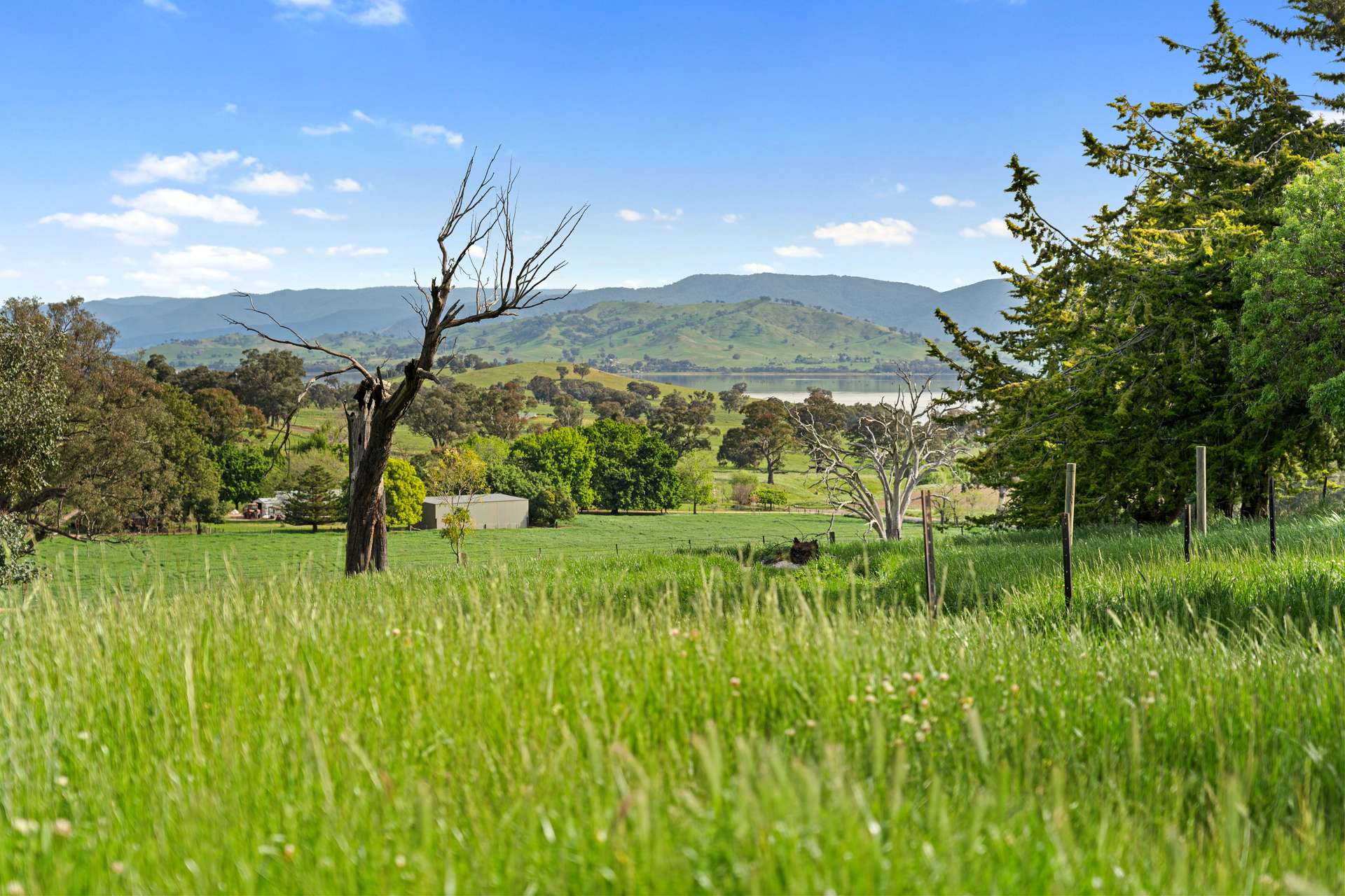1511 Lake Road, Bethanga For Sale by Farmbuy.com - image 5