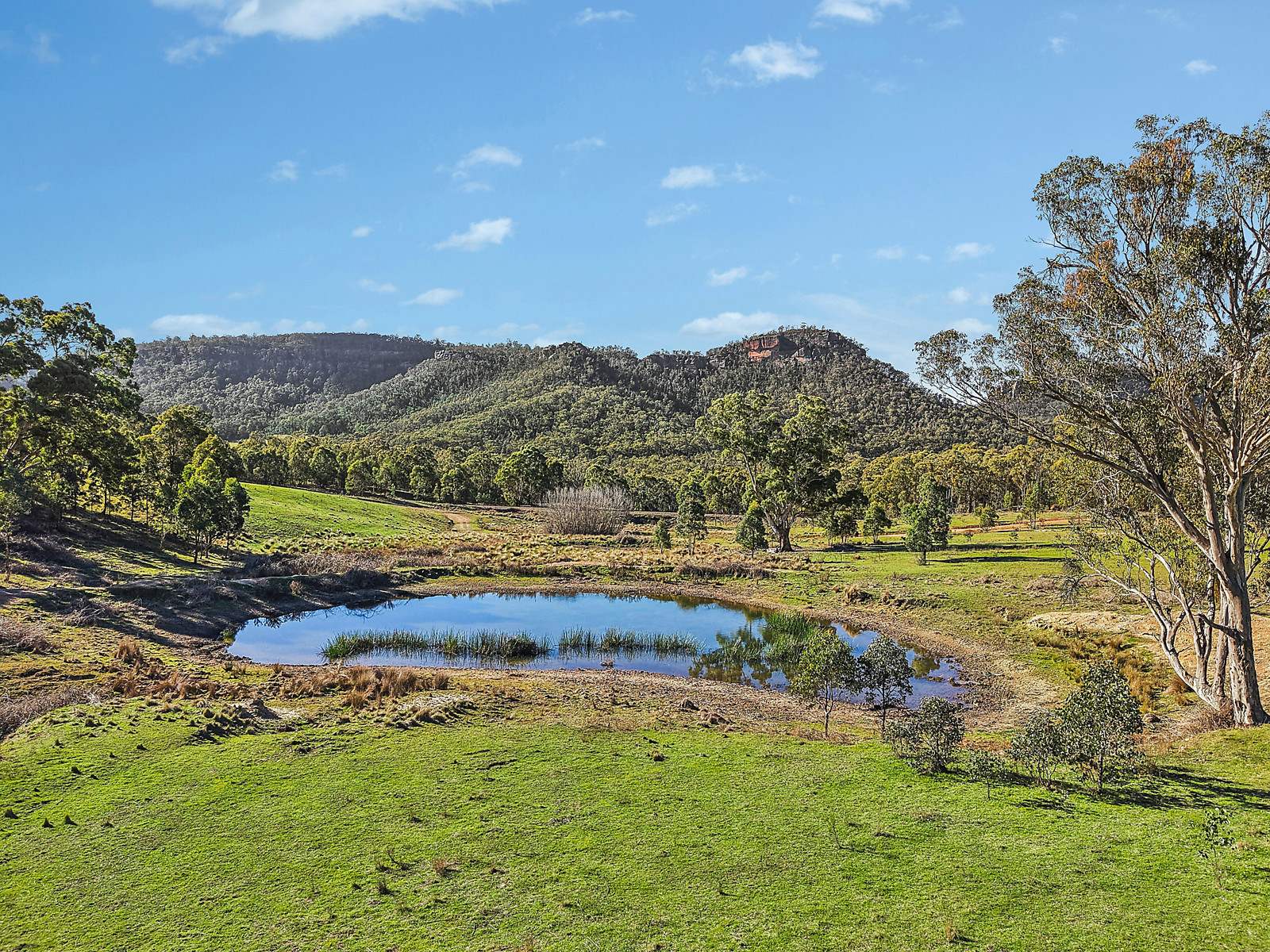 Lot 92, 375 McDonalds Hole Road, Running Stream For Sale by Farmbuy.com - image 2