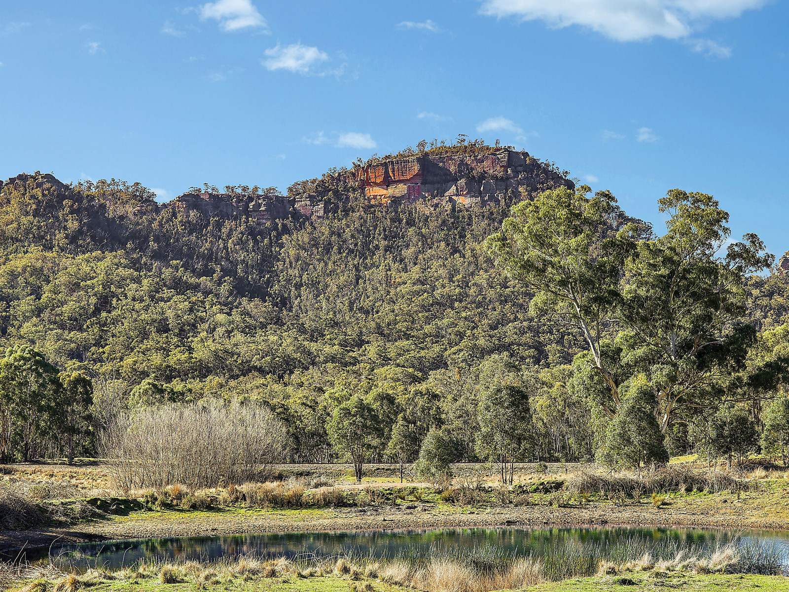 Lot 92, 375 McDonalds Hole Road, Running Stream For Sale by Farmbuy.com - image 6