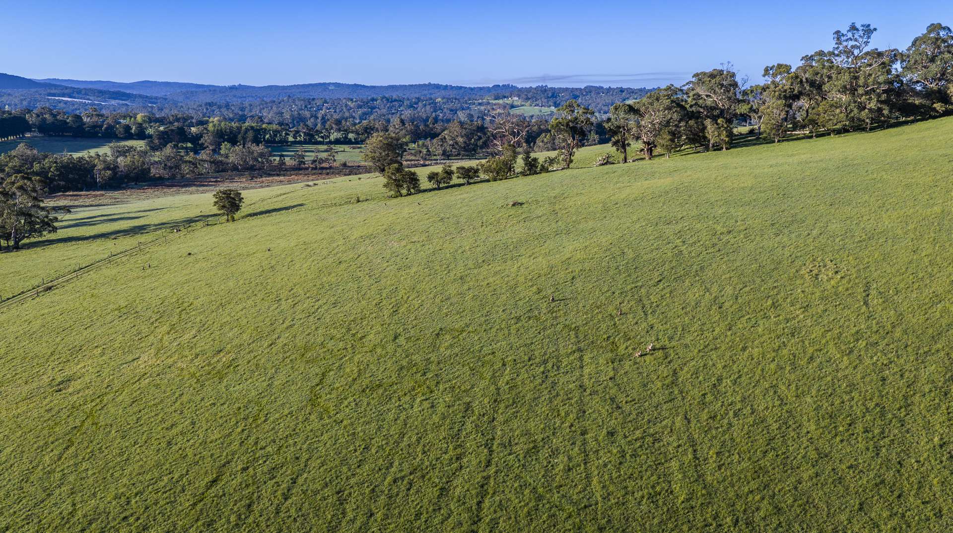 142-150 Dalry Road, Launching Place For Sale by Farmbuy.com - image 30