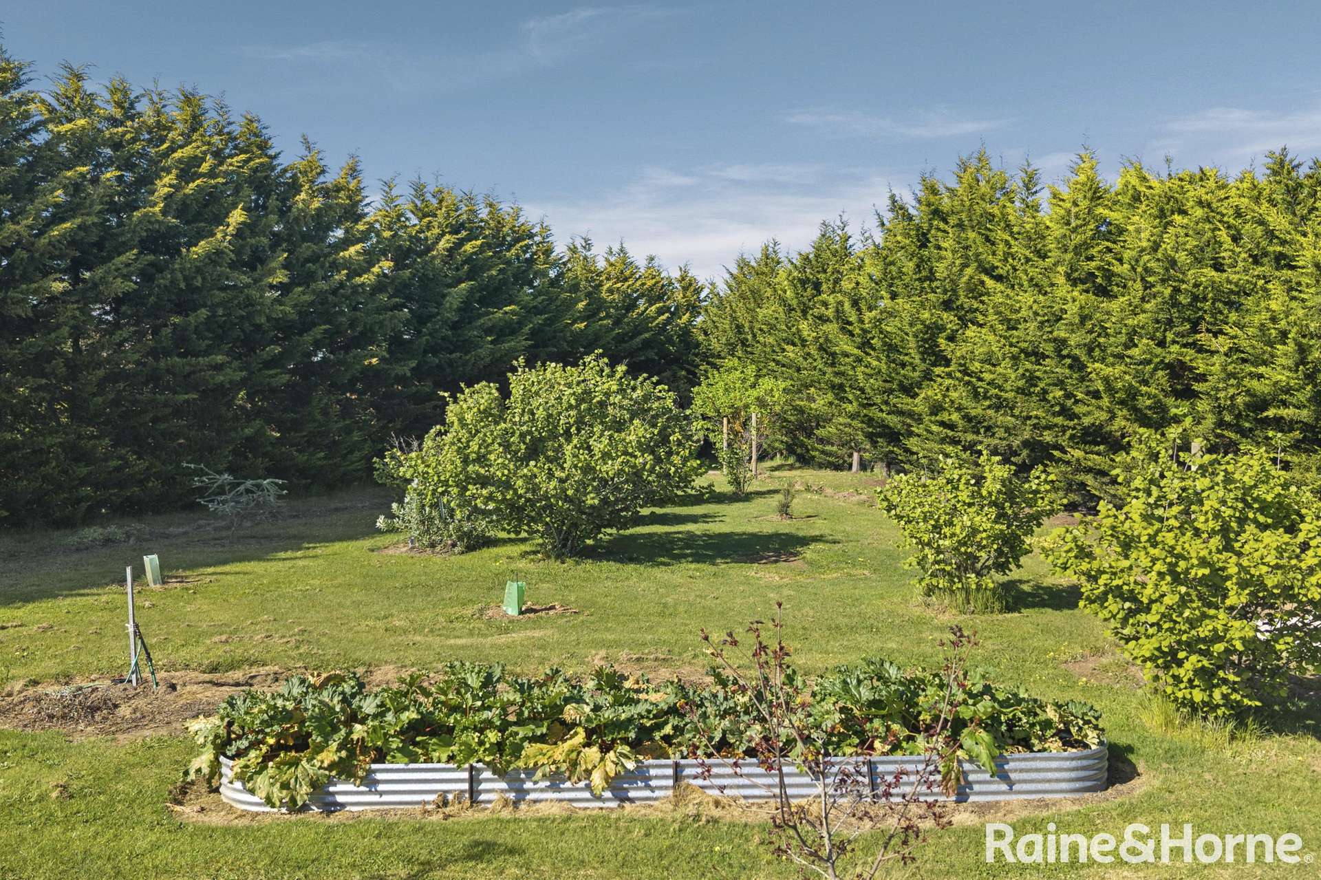 27 Davy Street, Malmsbury For Sale by Farmbuy.com - image 27