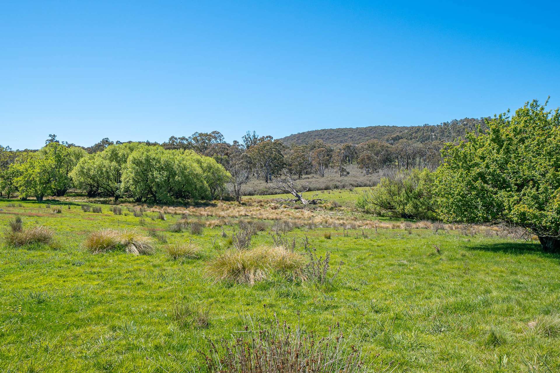 1936 Bigga Road Bigga Via, Crookwell For Sale by Farmbuy.com - image 13