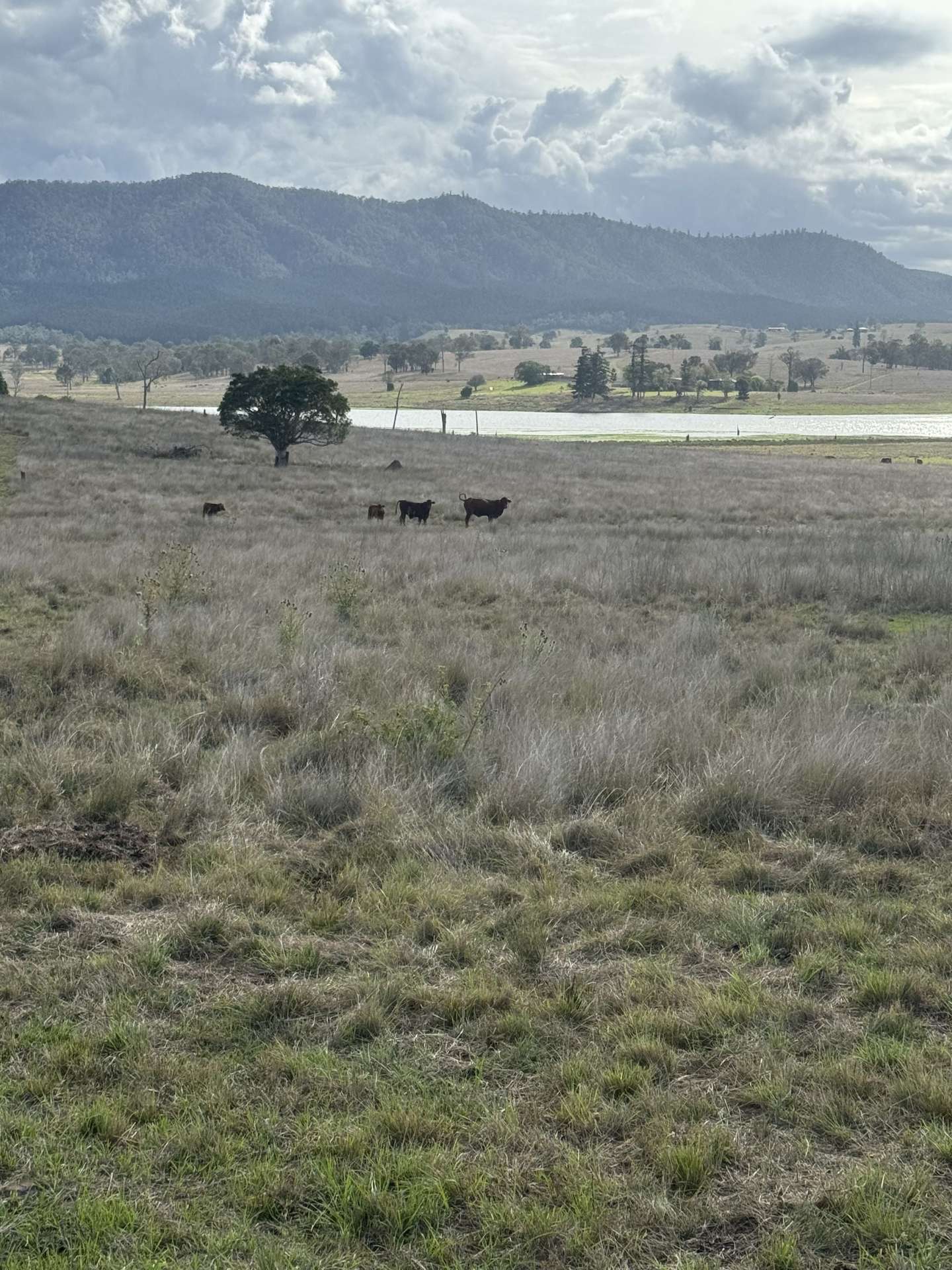 0 Kennedys Road, Winya For Sale by Farmbuy.com - image 18