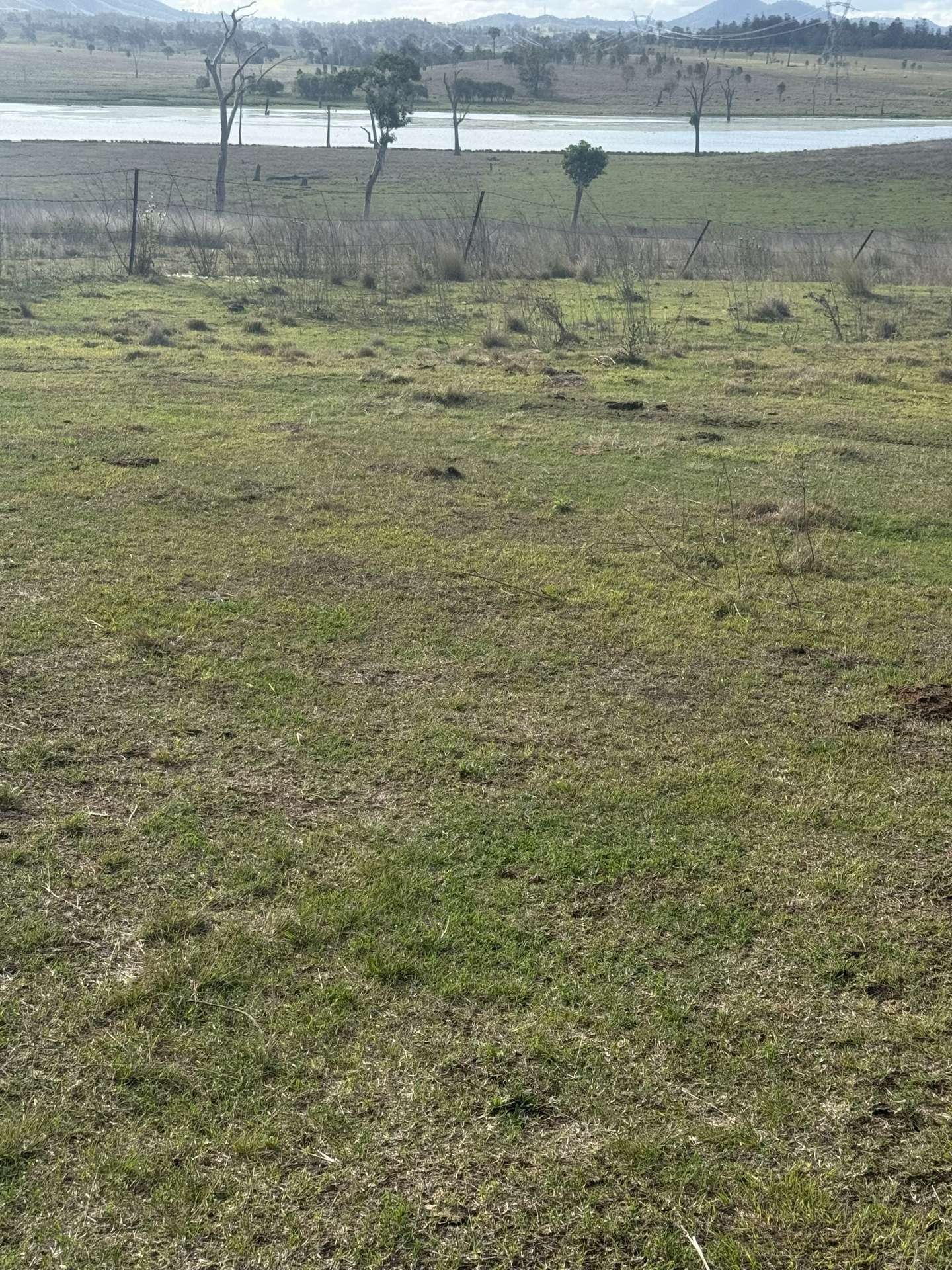 0 Kennedys Road, Winya For Sale by Farmbuy.com - image 19