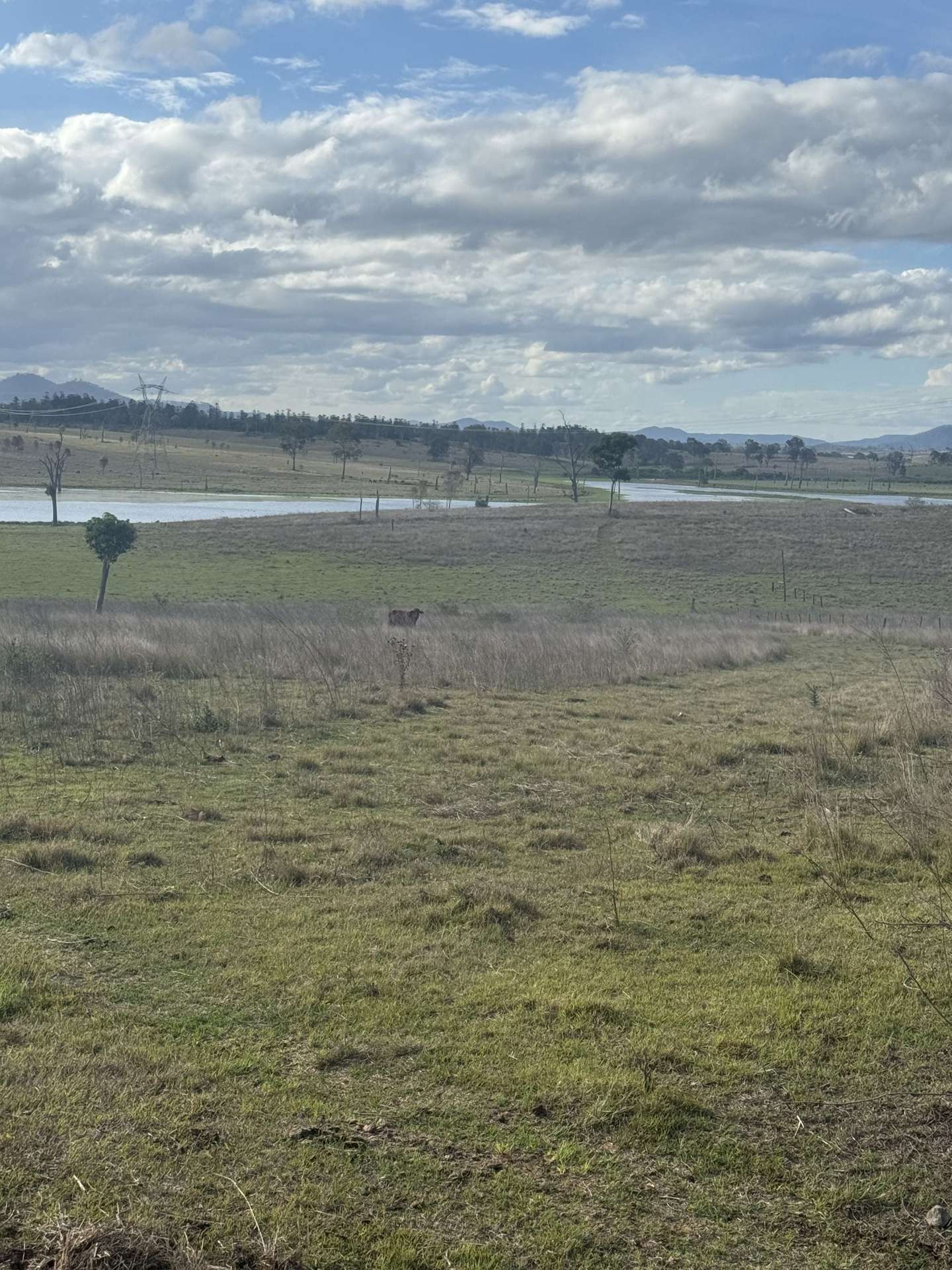 0 Kennedys Road, Winya For Sale by Farmbuy.com - image 20