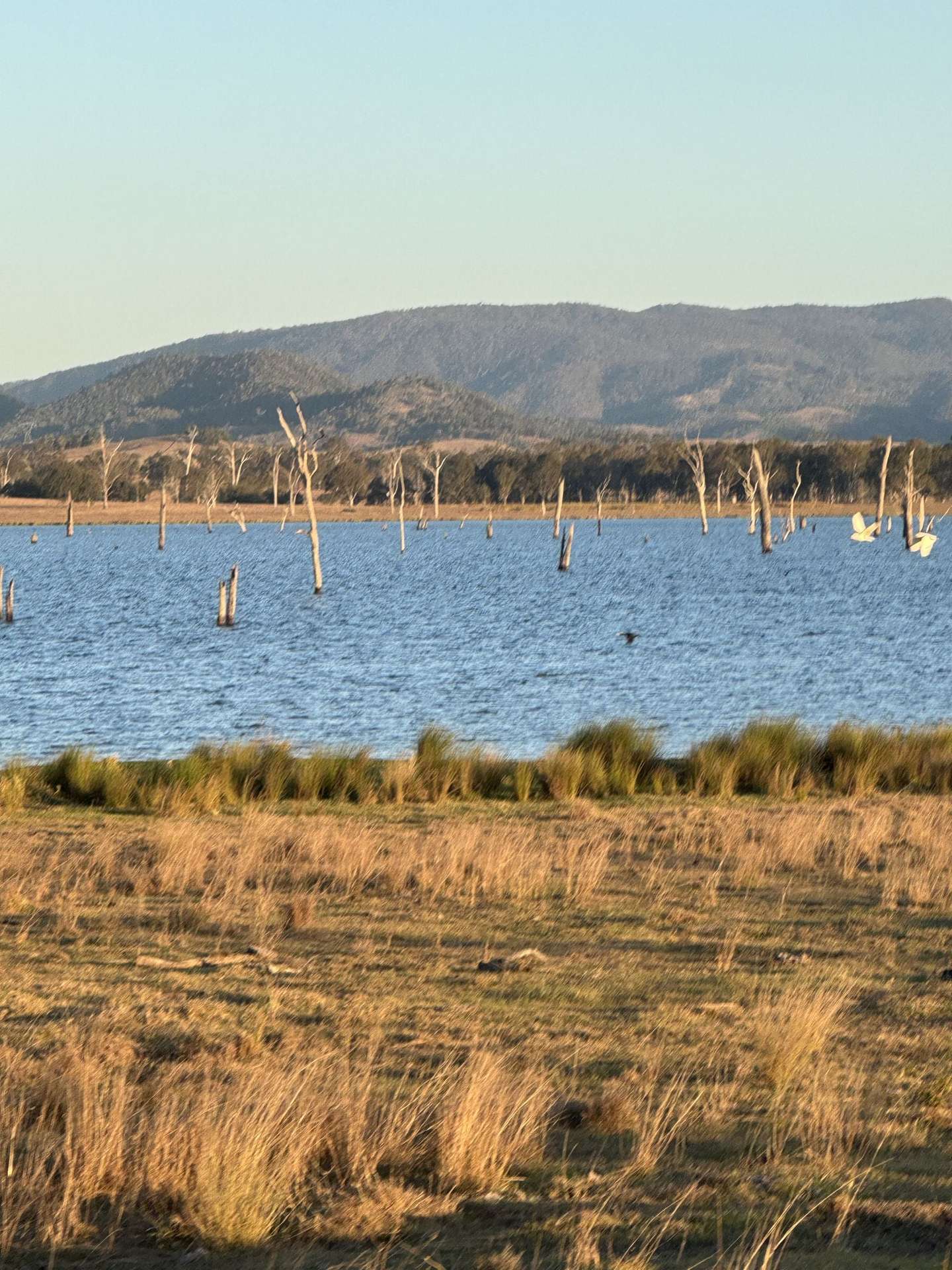 0 Kennedys Road, Winya For Sale by Farmbuy.com - image 13