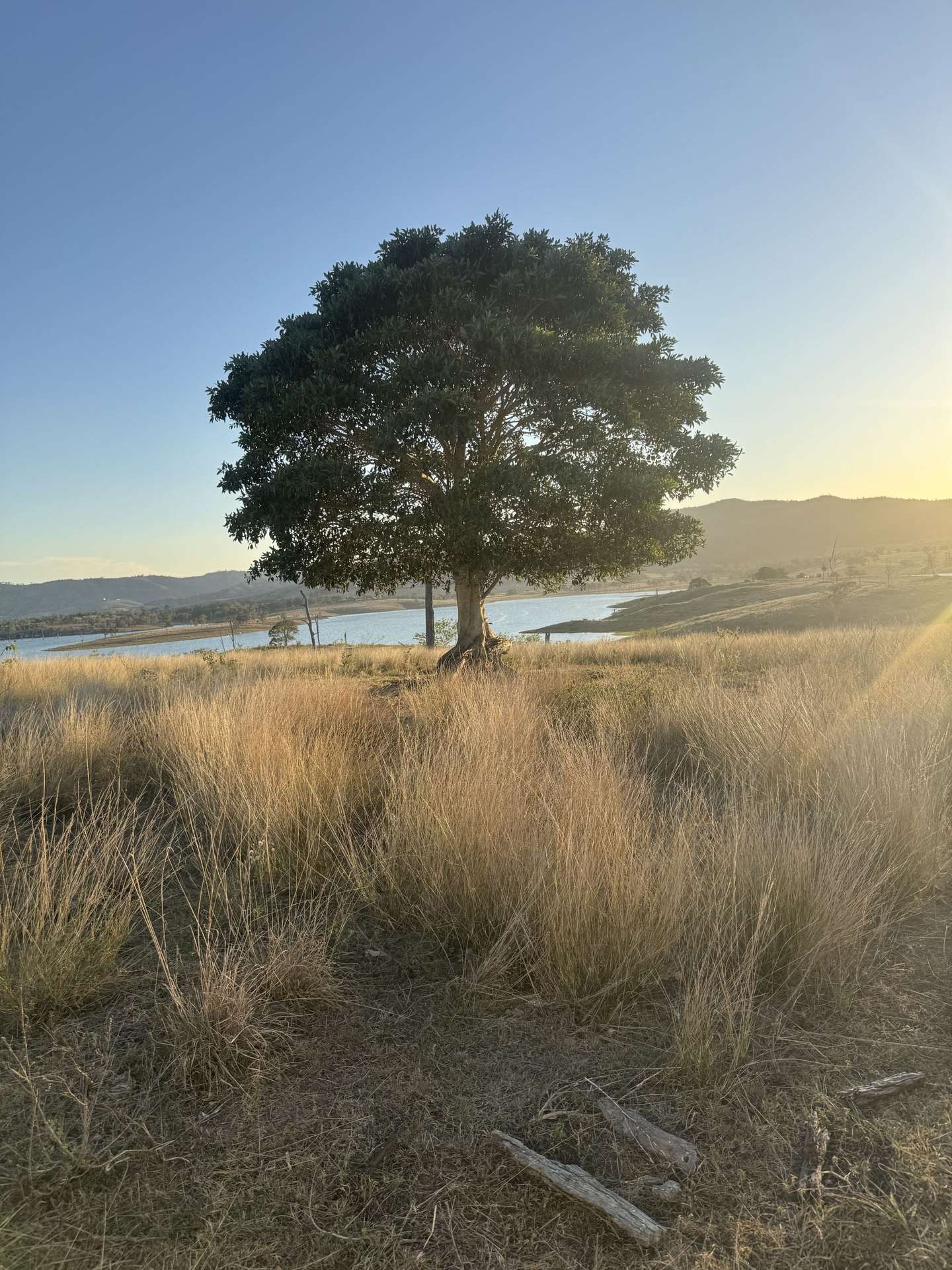 0 Kennedys Road, Winya For Sale by Farmbuy.com - image 2