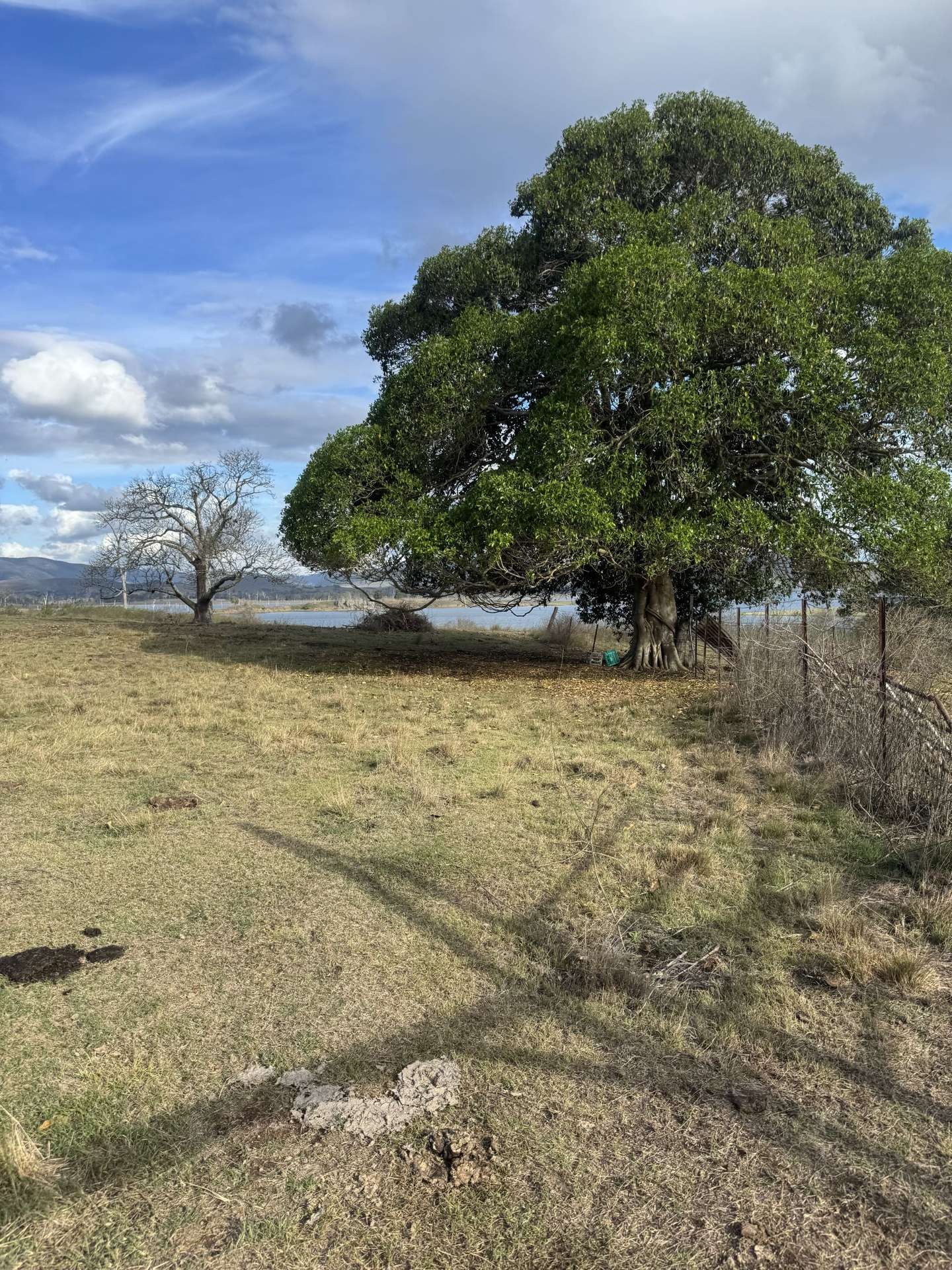 0 Kennedys Road, Winya For Sale by Farmbuy.com - image 21