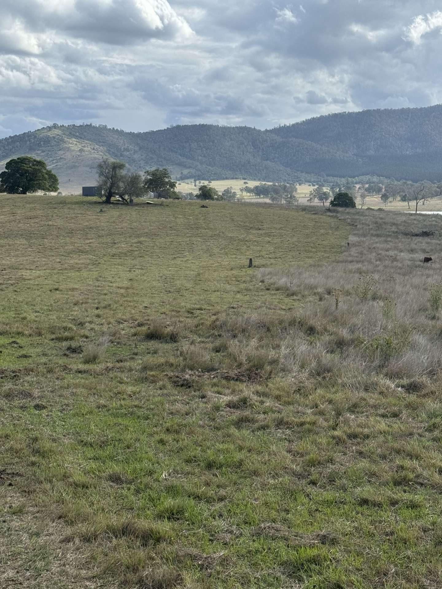 0 Kennedys Road, Winya For Sale by Farmbuy.com - image 17