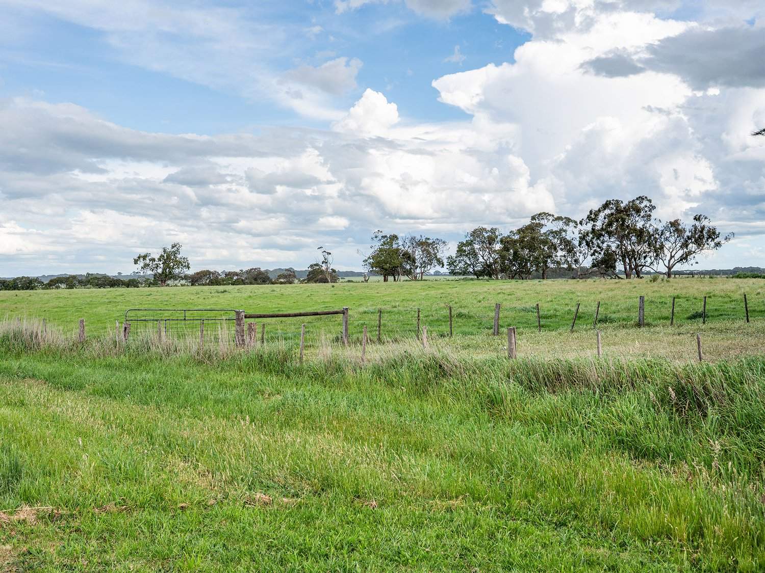 61 Tabor Siding Road, Tabor For Sale by Farmbuy.com - image 20