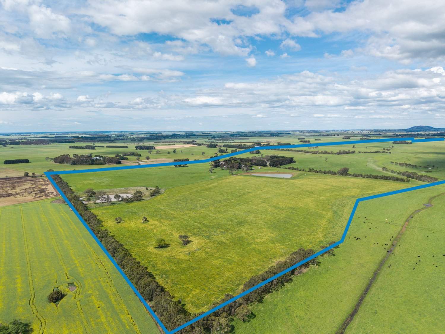 61 Tabor Siding Road, Tabor For Sale by Farmbuy.com - image 31