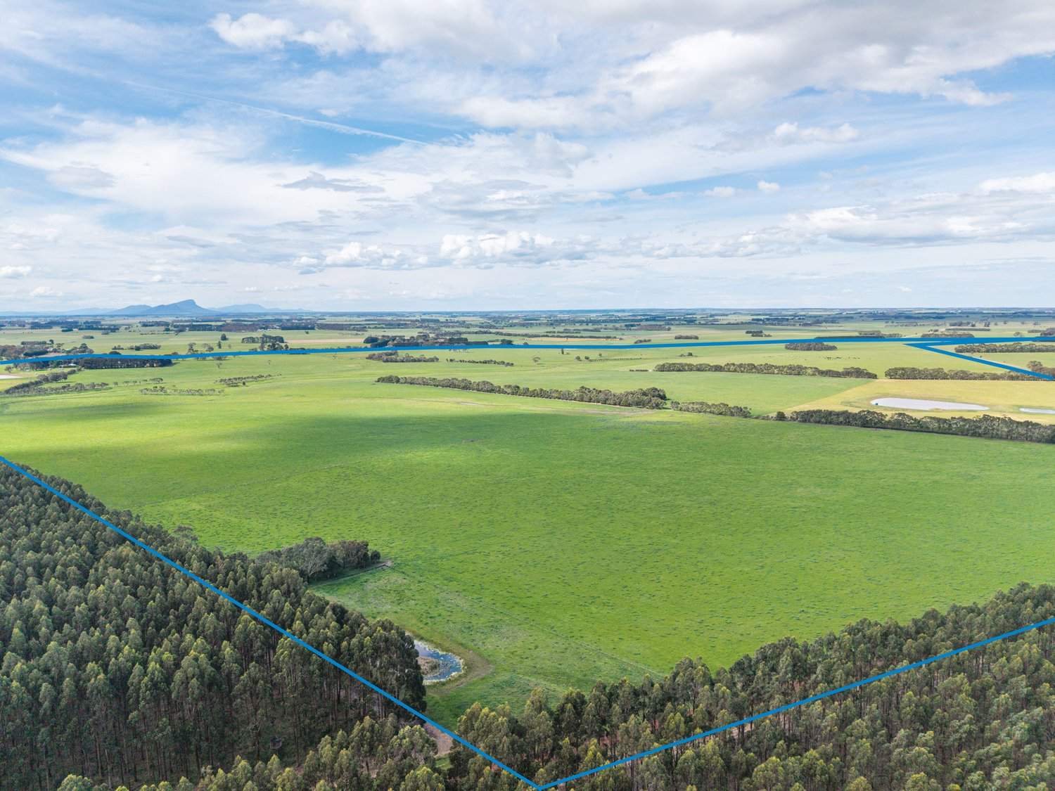 61 Tabor Siding Road, Tabor For Sale by Farmbuy.com - image 26