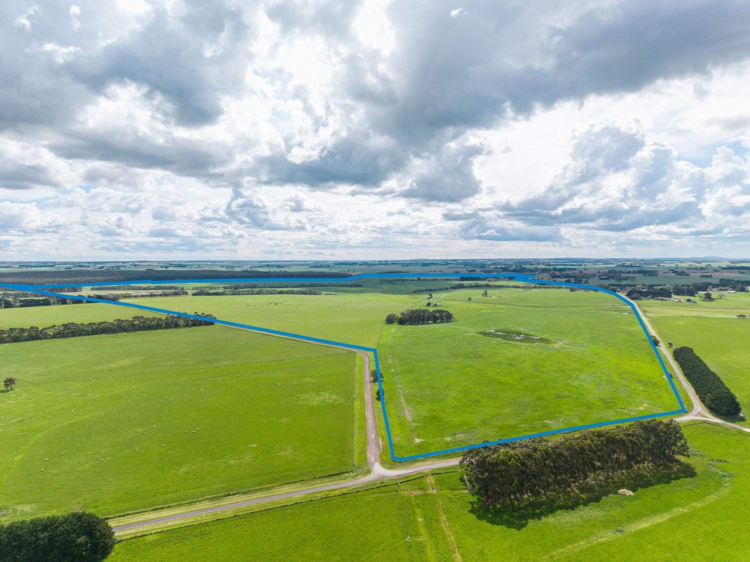 61 Tabor Siding Road, Tabor For Sale by Farmbuy.com - image 22