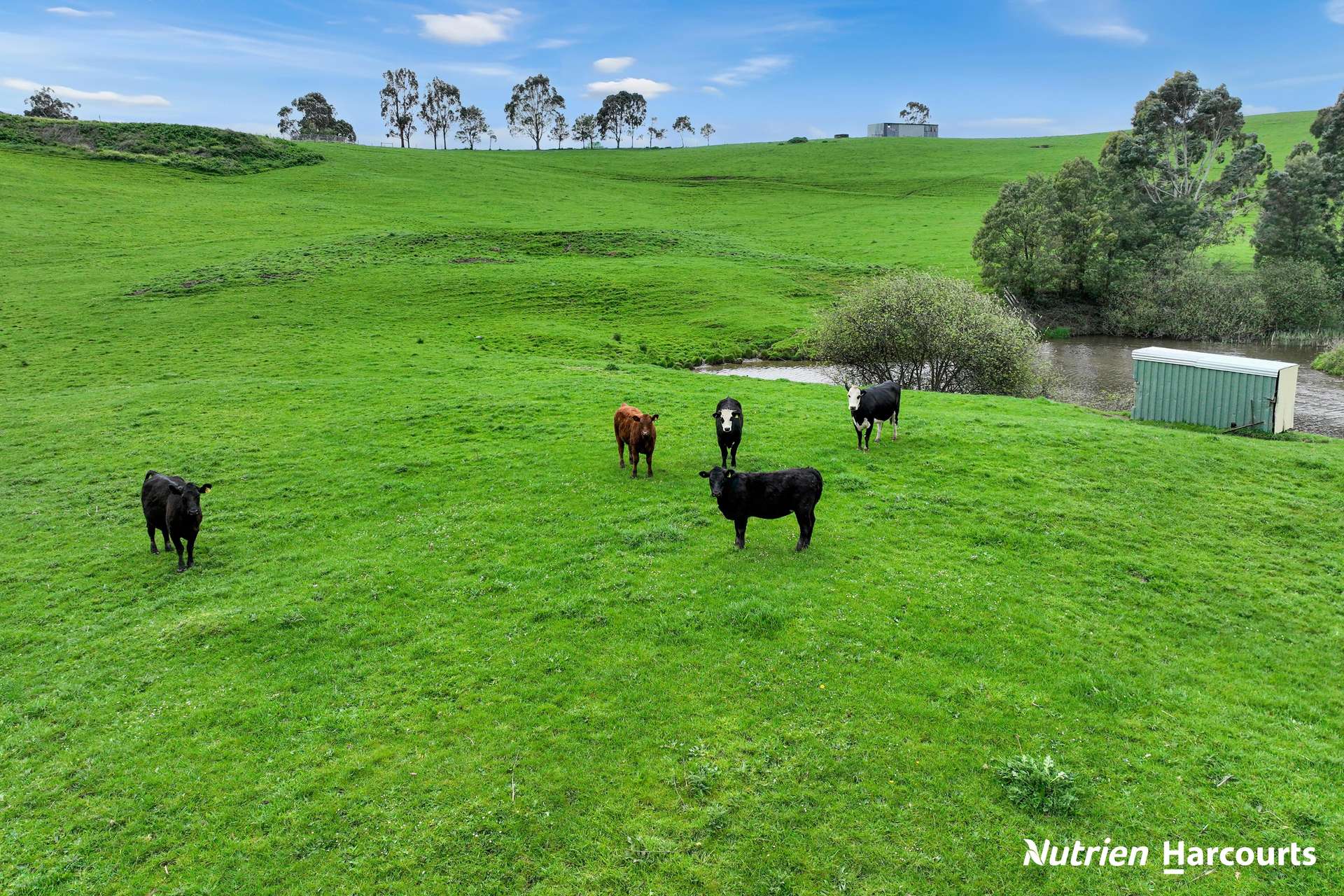 250 Houlahans Lane, Poowong For Sale by Farmbuy.com - image 23