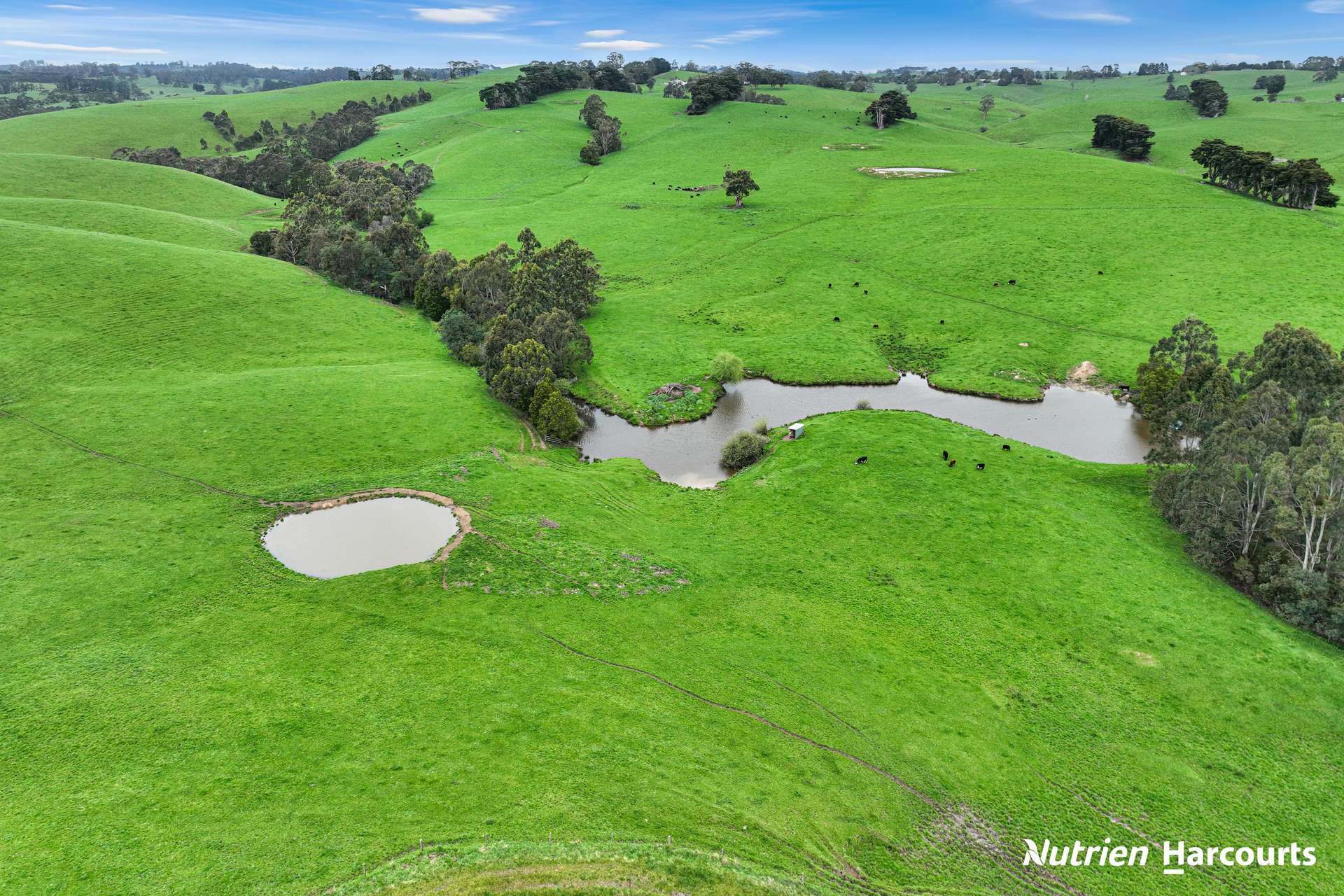 250 Houlahans Lane, Poowong For Sale by Farmbuy.com - image 30