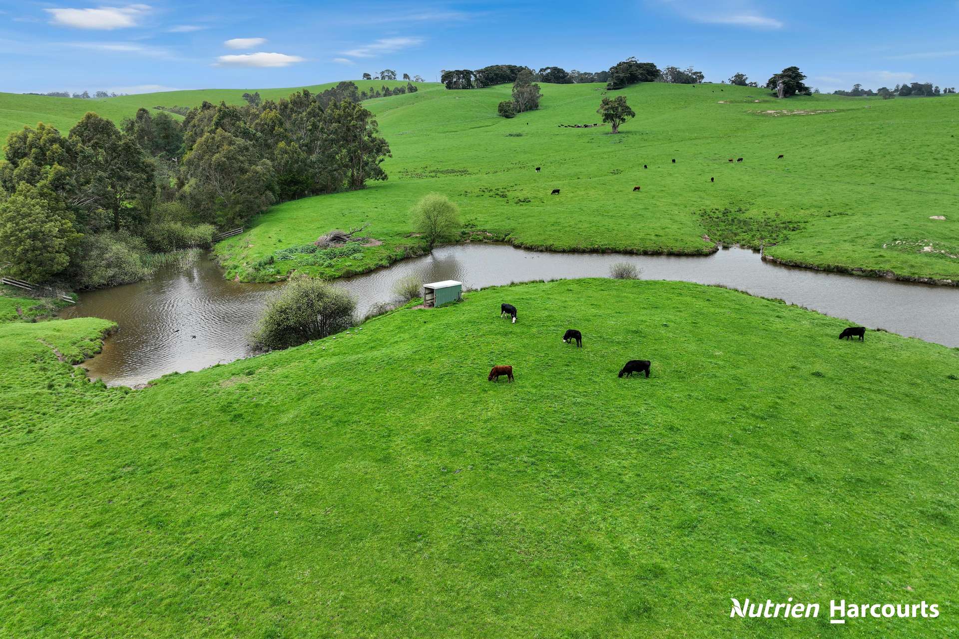 250 Houlahans Lane, Poowong For Sale by Farmbuy.com - image 3