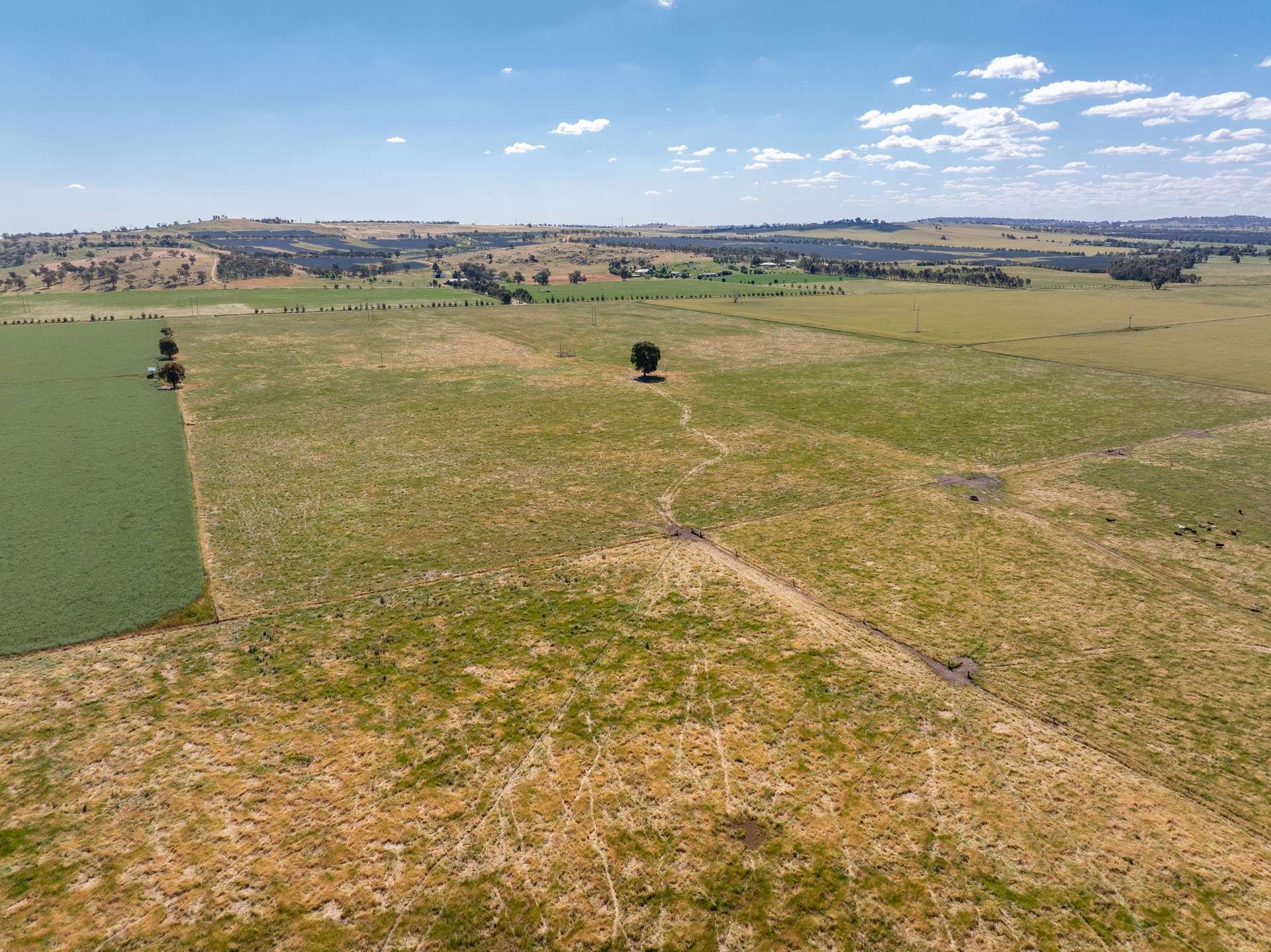 73 Pattersons Road, Wagga Wagga For Sale by Farmbuy.com - image 16