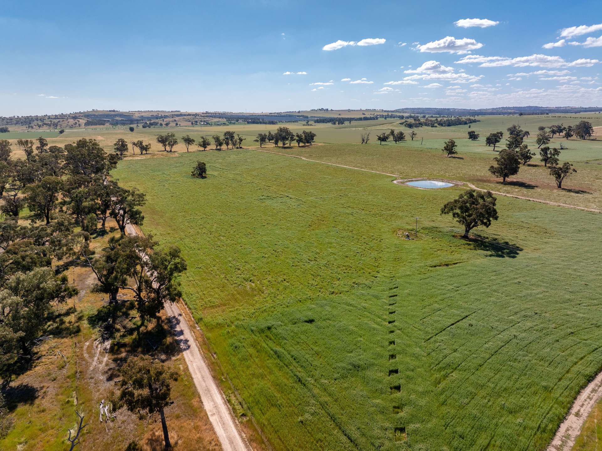 73 Pattersons Road, Wagga Wagga For Sale by Farmbuy.com - image 14