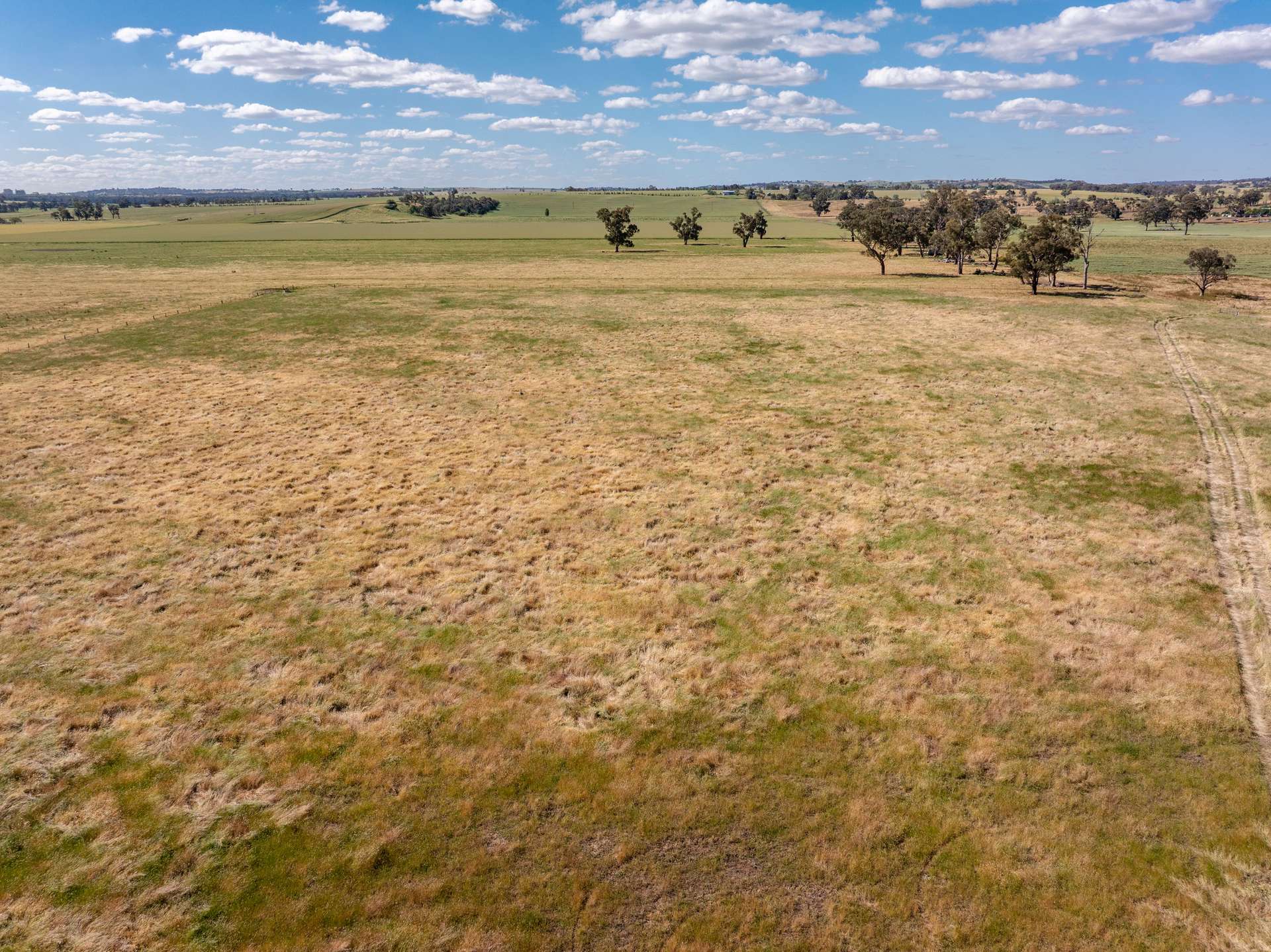 73 Pattersons Road, Wagga Wagga For Sale by Farmbuy.com - image 4
