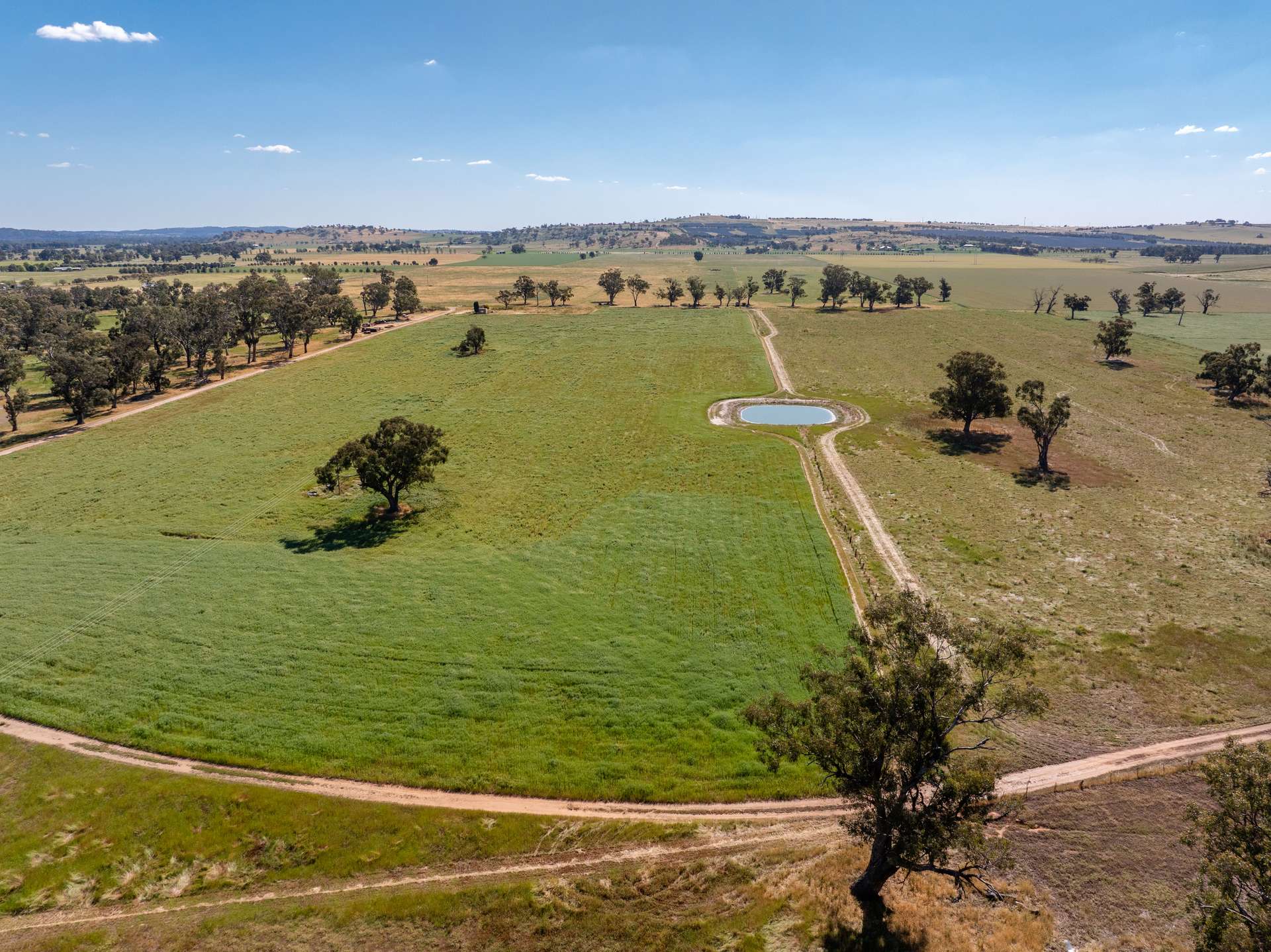 73 Pattersons Road, Wagga Wagga For Sale by Farmbuy.com - image 5