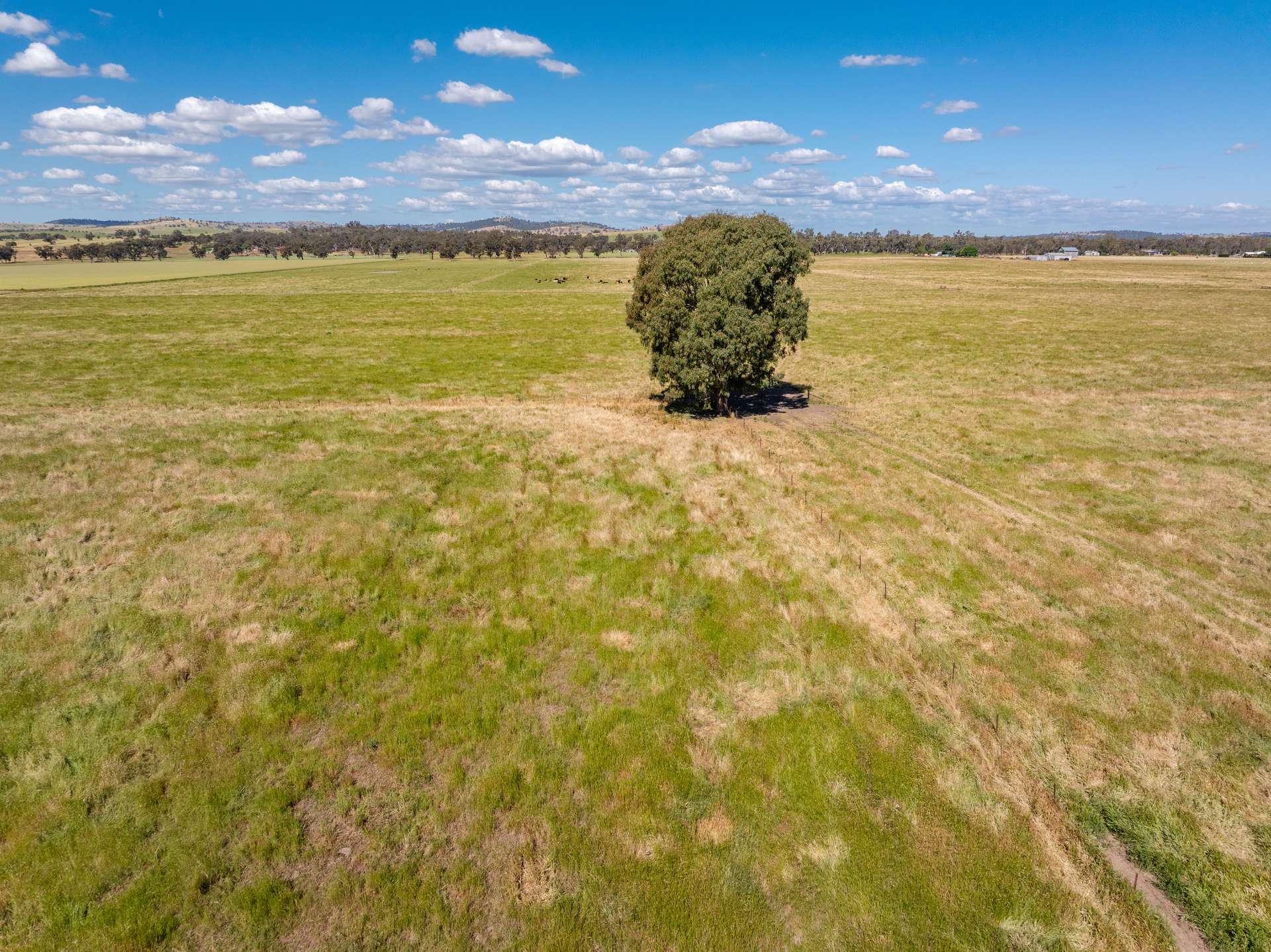 73 Pattersons Road, Wagga Wagga For Sale by Farmbuy.com - image 3