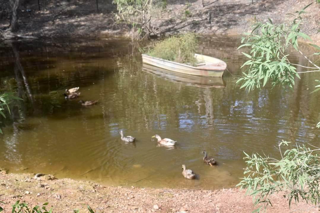 531 Endeavour Valley Road, Cooktown For Sale by Farmbuy.com - image 10