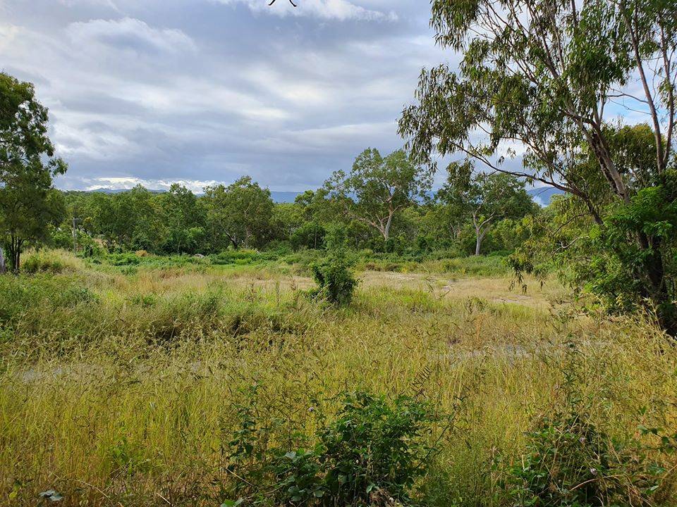 531 Endeavour Valley Road, Cooktown For Sale by Farmbuy.com - image 19