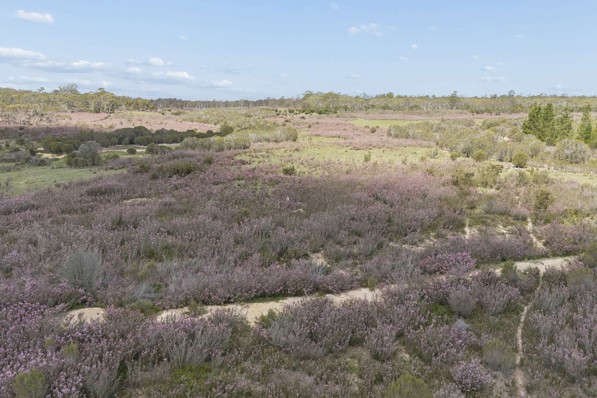 201 Sandy Point Road, Windellama For Sale by Farmbuy.com - image 3