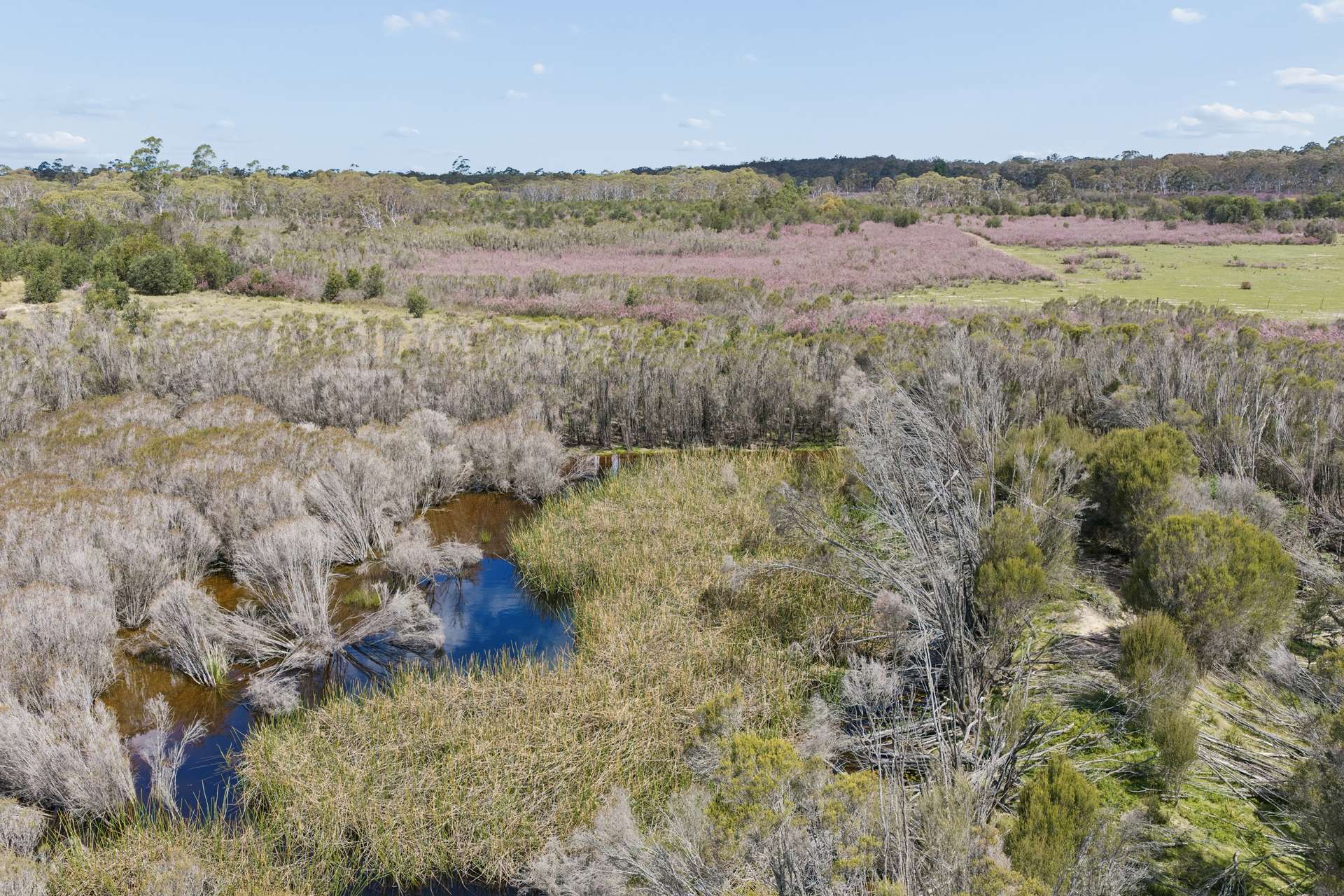 201 Sandy Point Road, Windellama For Sale by Farmbuy.com - image 10