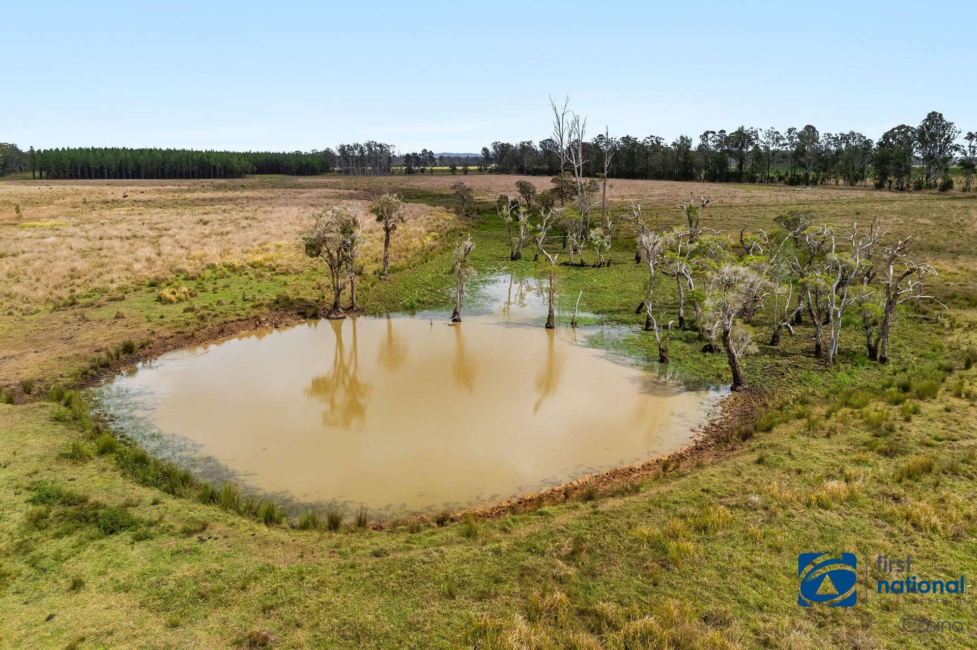 315 Myrtle Creek Road, MYRTLE CREEK Via, Casino For Sale by Farmbuy.com - image 4