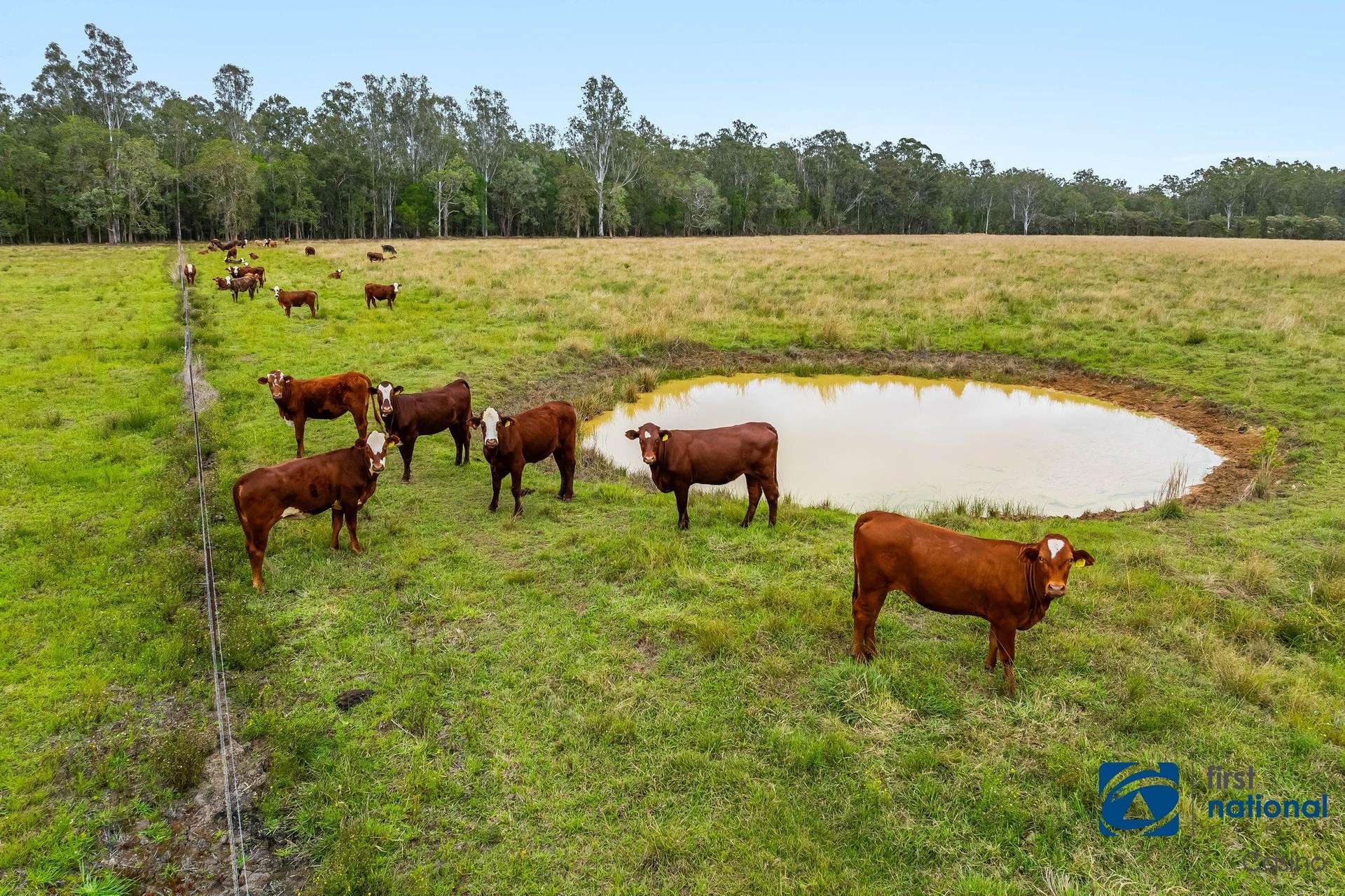 315 Myrtle Creek Road, MYRTLE CREEK Via, Casino For Sale by Farmbuy.com - image 3