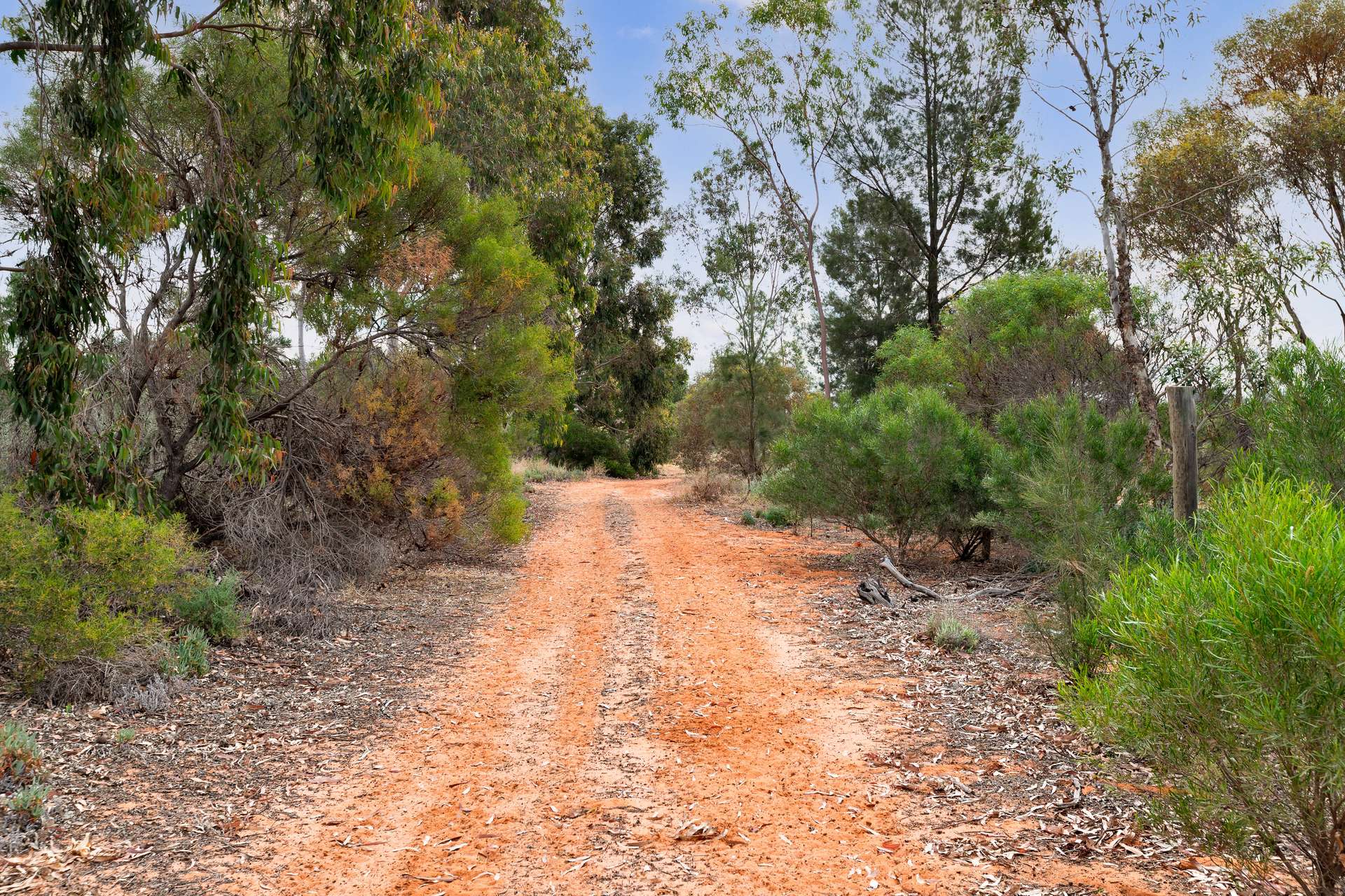 410 Sculthorpe Road, Nangiloc For Sale by Farmbuy.com - image 6