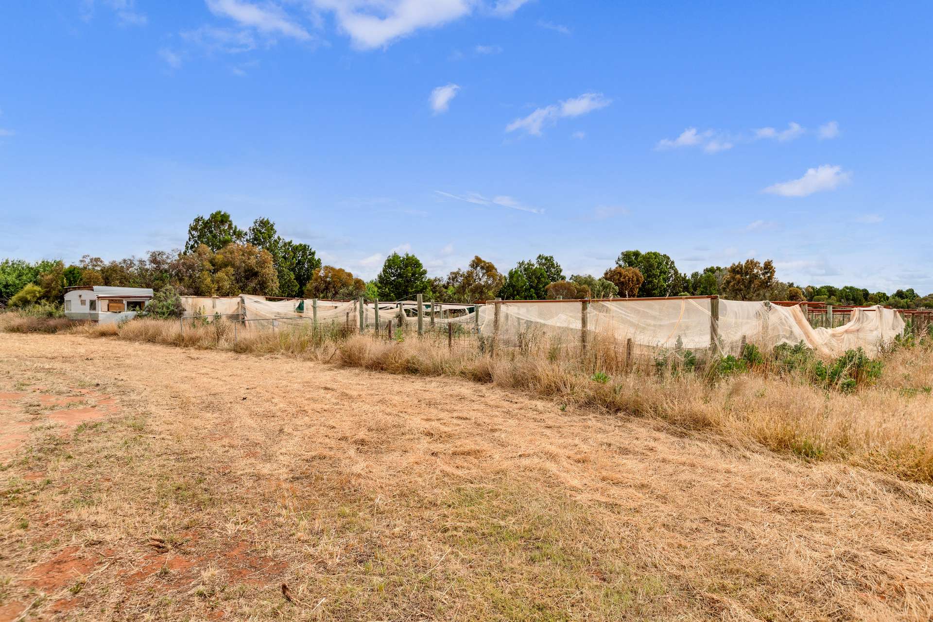 410 Sculthorpe Road, Nangiloc For Sale by Farmbuy.com - image 5