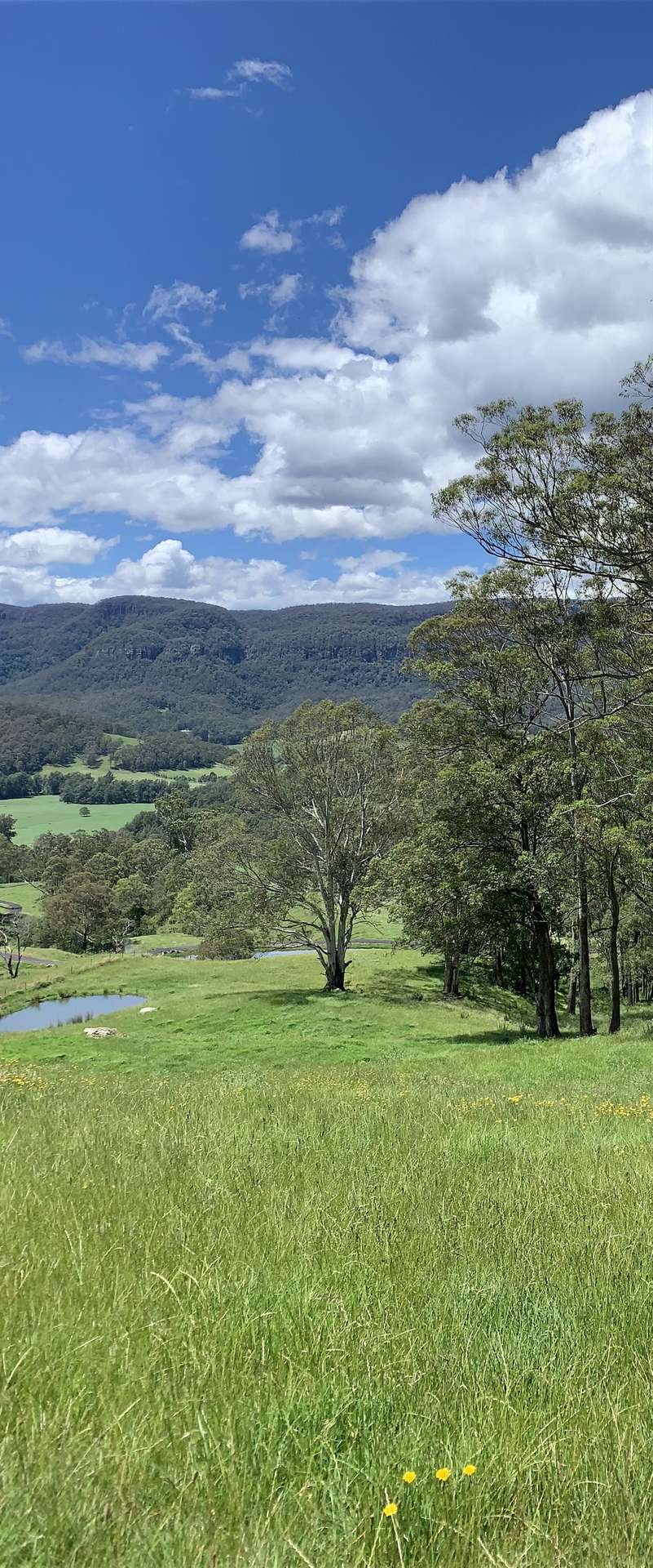 2319 Moss Vale Road, Kangaroo Valley For Sale by Farmbuy.com - image 30
