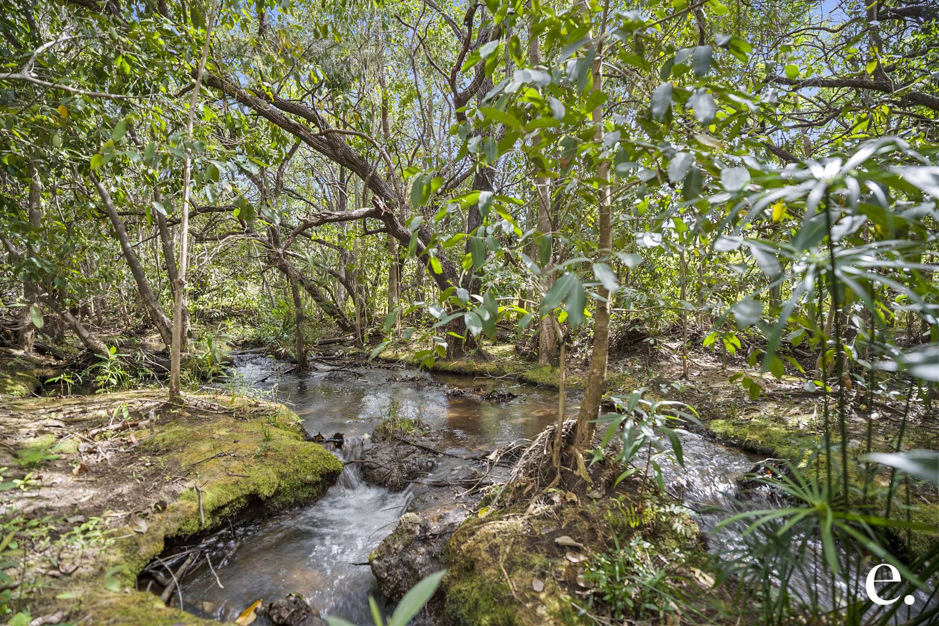 11 Kenneally Road, Mareeba For Sale by Farmbuy.com - image 5