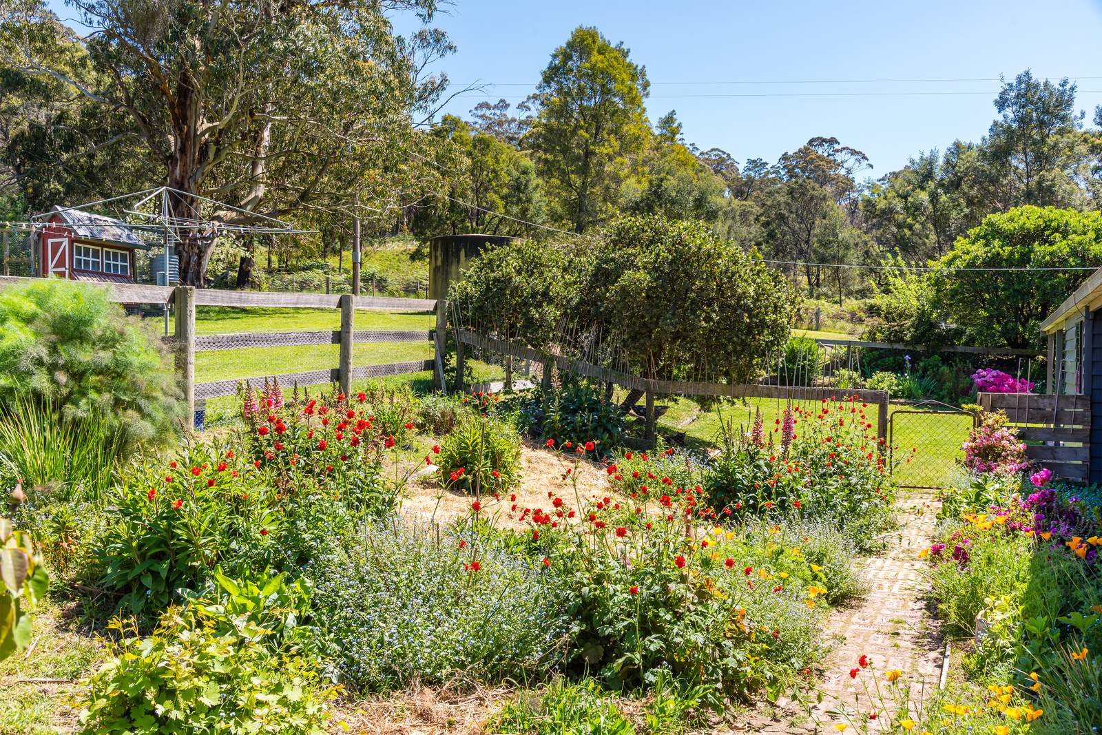 547 Pyalong Road, Lancefield For Sale by Farmbuy.com - image 3