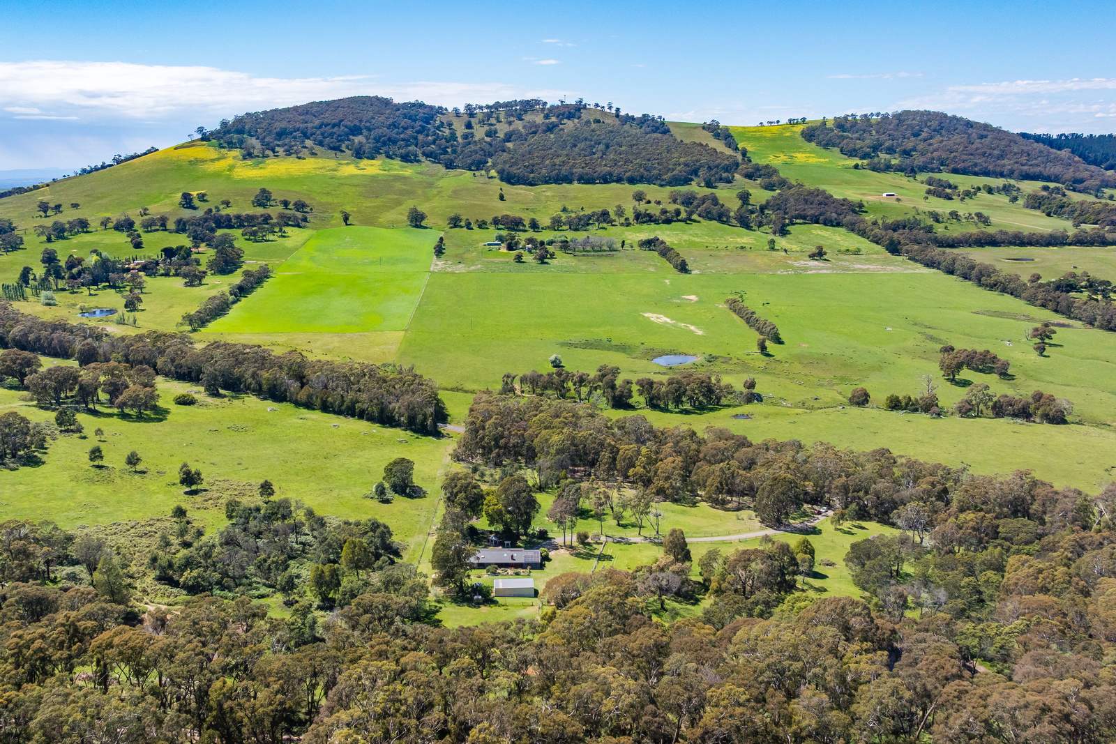 547 Pyalong Road, Lancefield For Sale by Farmbuy.com - image 26